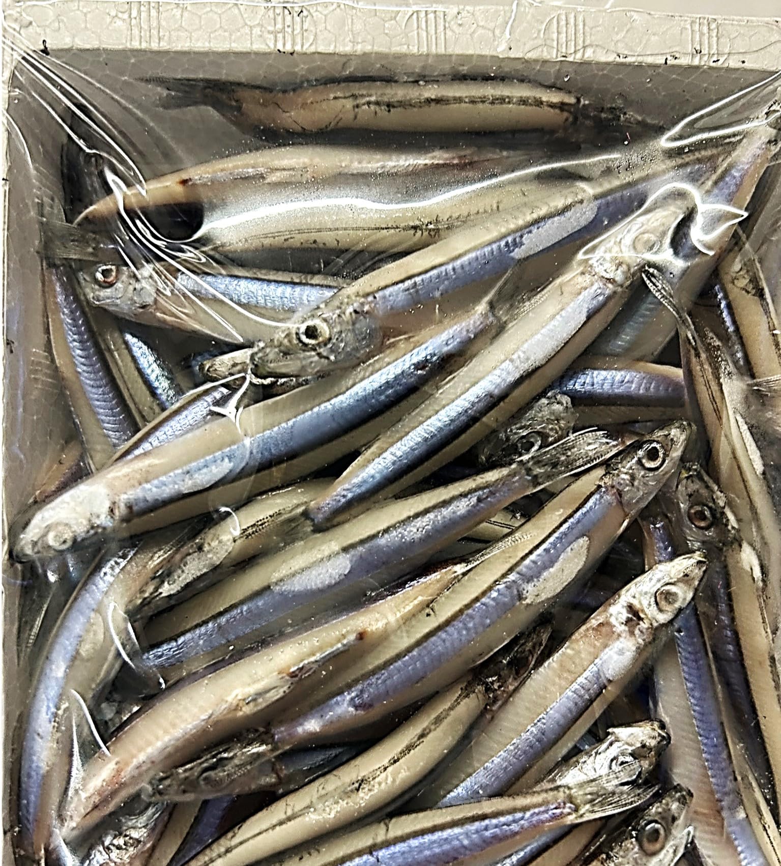 Amazon.co.jp: 【冷凍商品】冷凍キビナゴ特用 500g入り 釣りえさ用