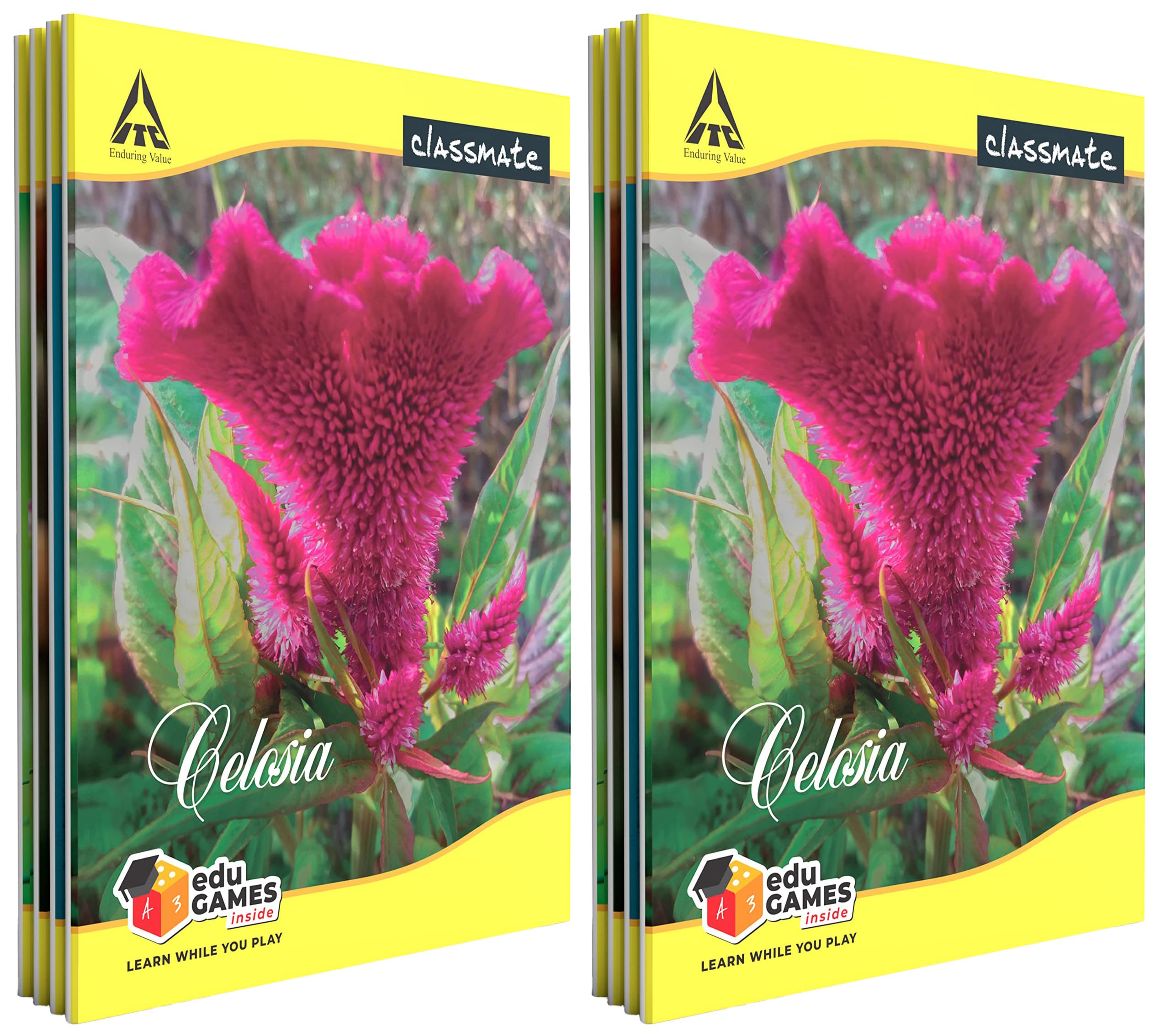 Classmate Notebook - Single Line, 72 Pages, 240 mm x 180 mm - Pack Of 8