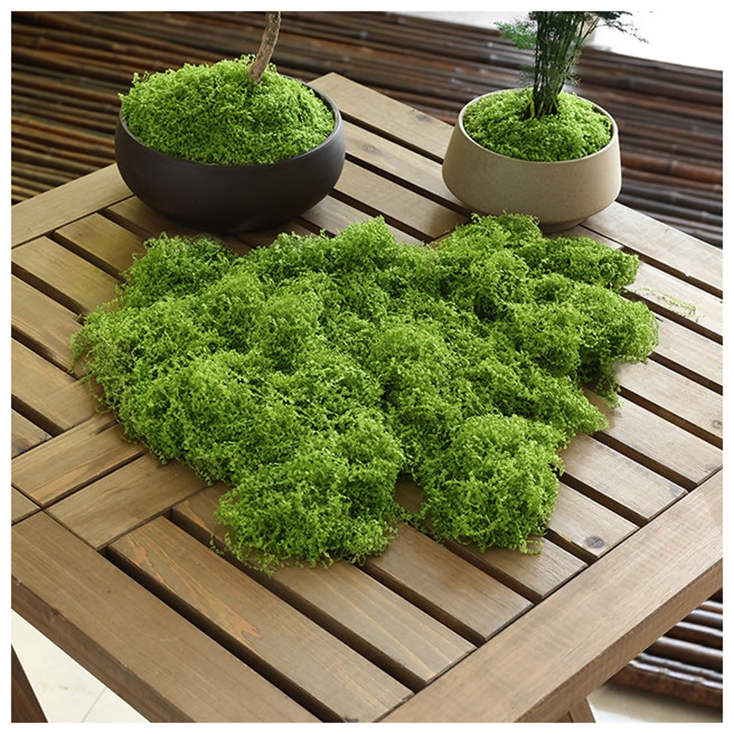 DIWAL Artificial Moss for Potted Plants, Faux Moss Decor for DIY Decorative, Walls,Table Centerpieces Decor Fairy Garden Model Making(Light green,50g)