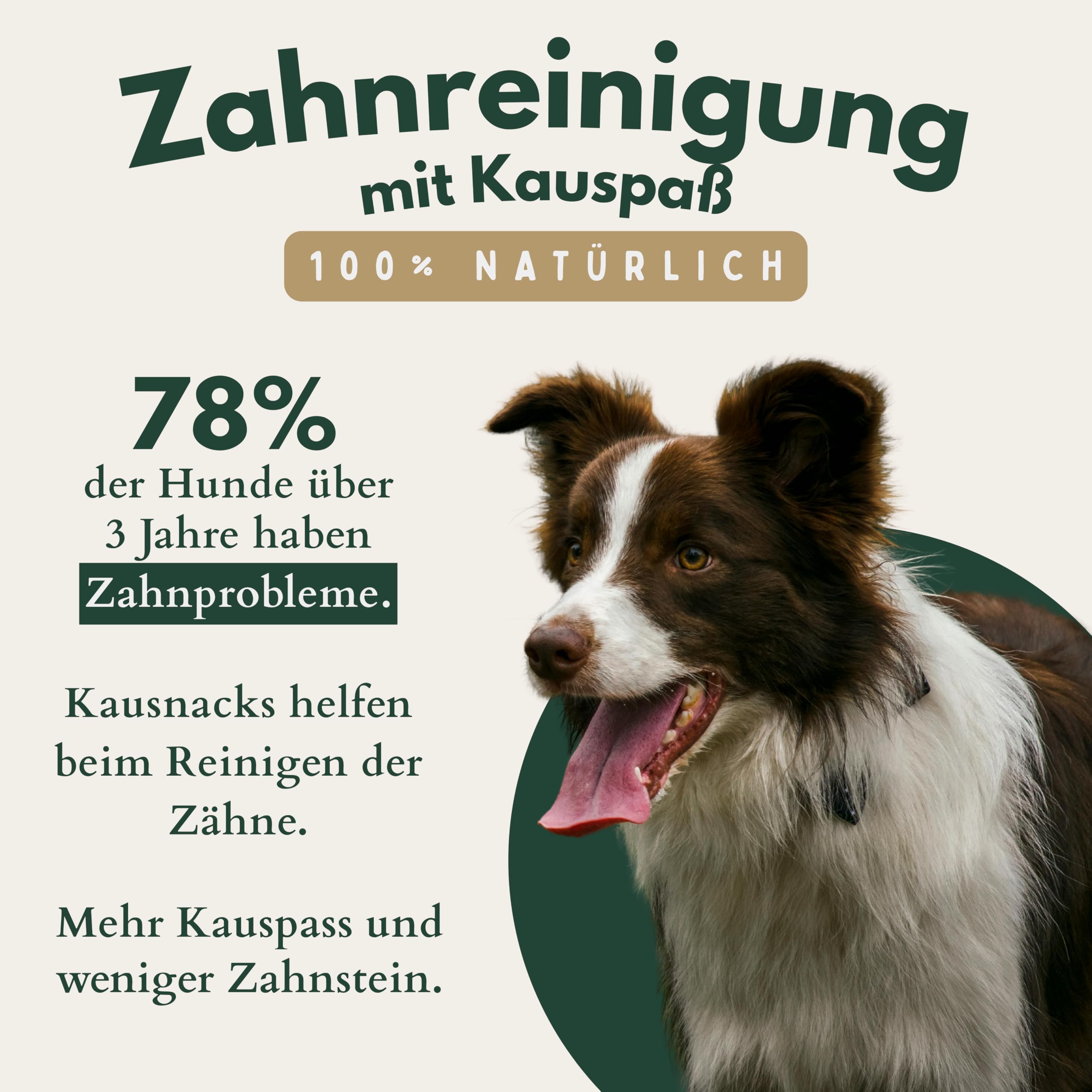 BREERs Getrocknete Rinderohren für Hunde 25 Stück aus eigener Deutscher Herstellung, Kauartikel für Groß & Klein