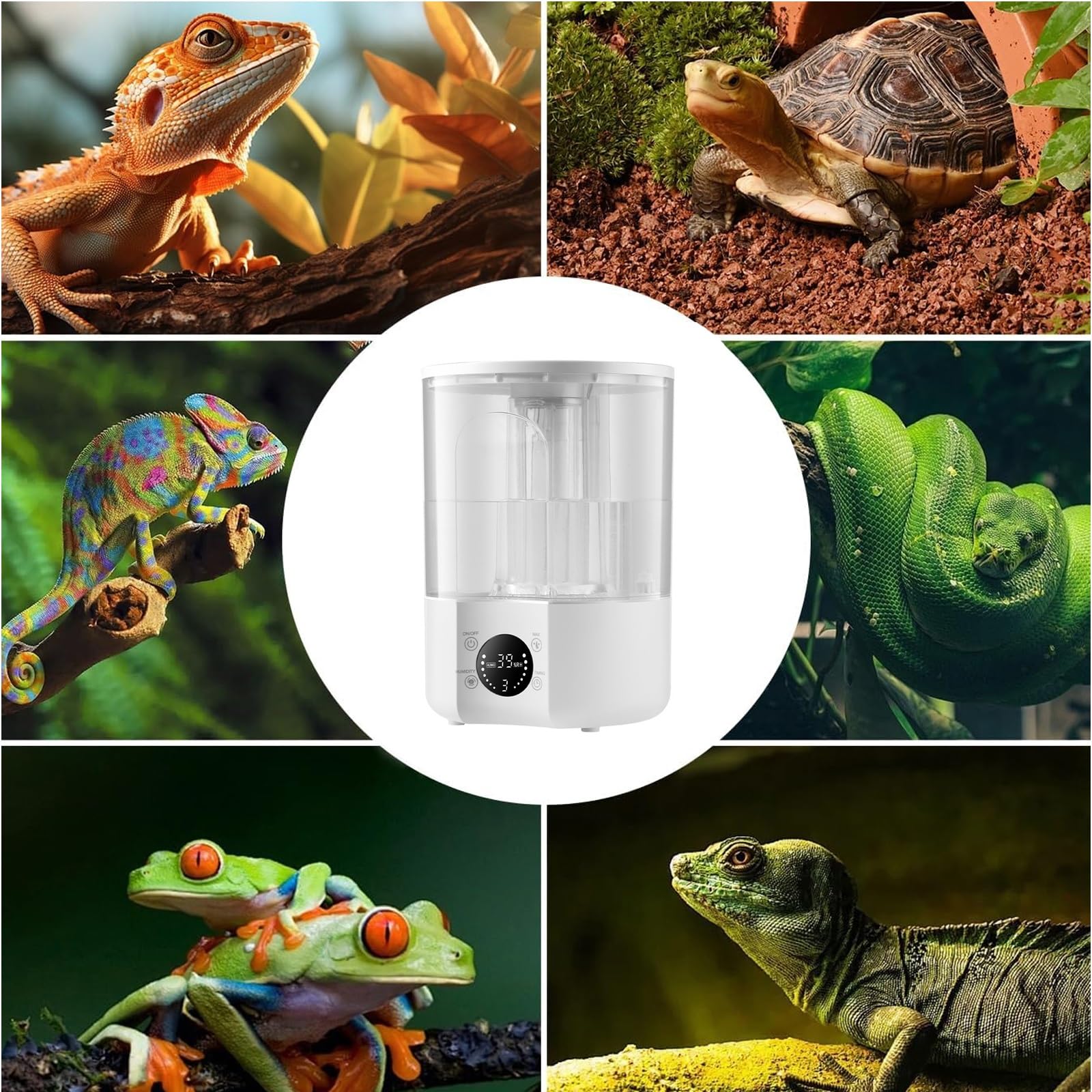 Humidificador Nebulizador Corn Snake, Humidificador de Terrario Green Tree Python de 4 L con Llenado Superior(Double Tube)
