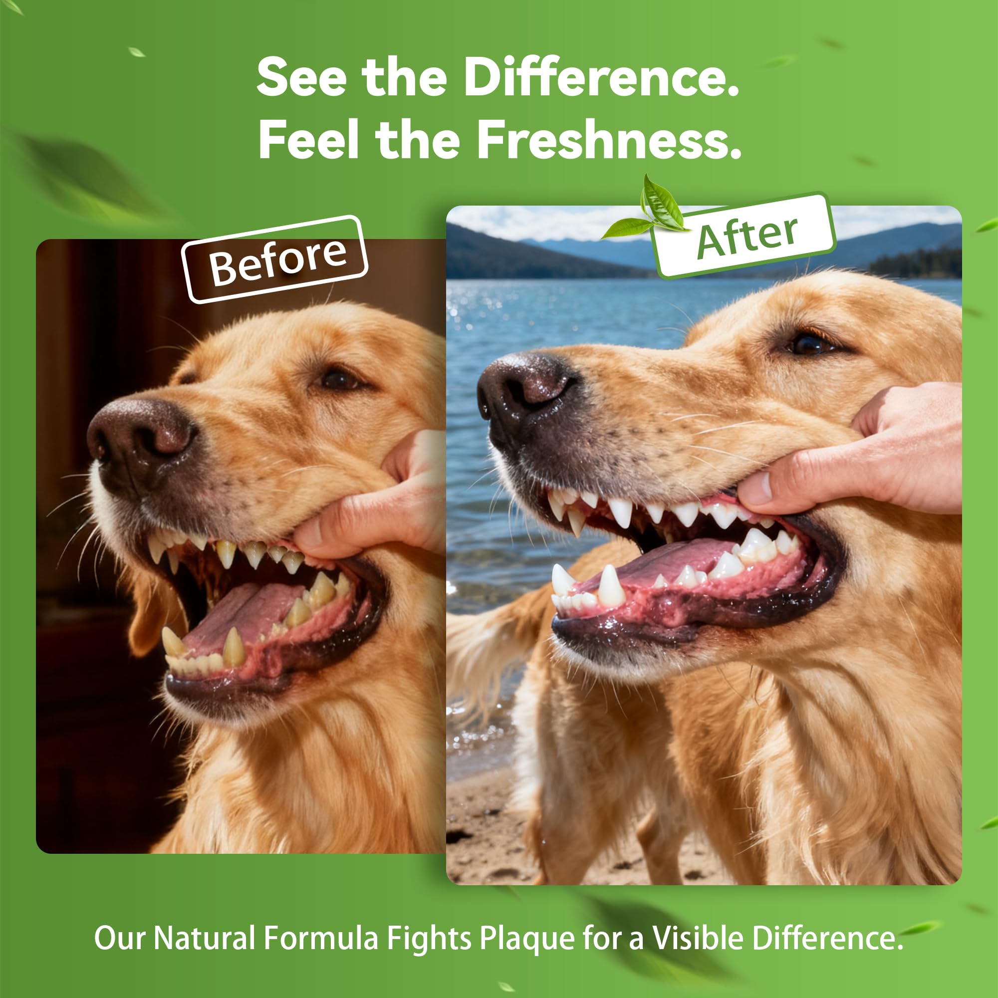 Dog Dental Powder for Plaque and Tartar Support - No Brushing Teeth Cleaning Powder with Probiotics & Natural Kelp | Fresh Breath Dog Oral Care for All Breeds | 1.76oz (50g) - image 3