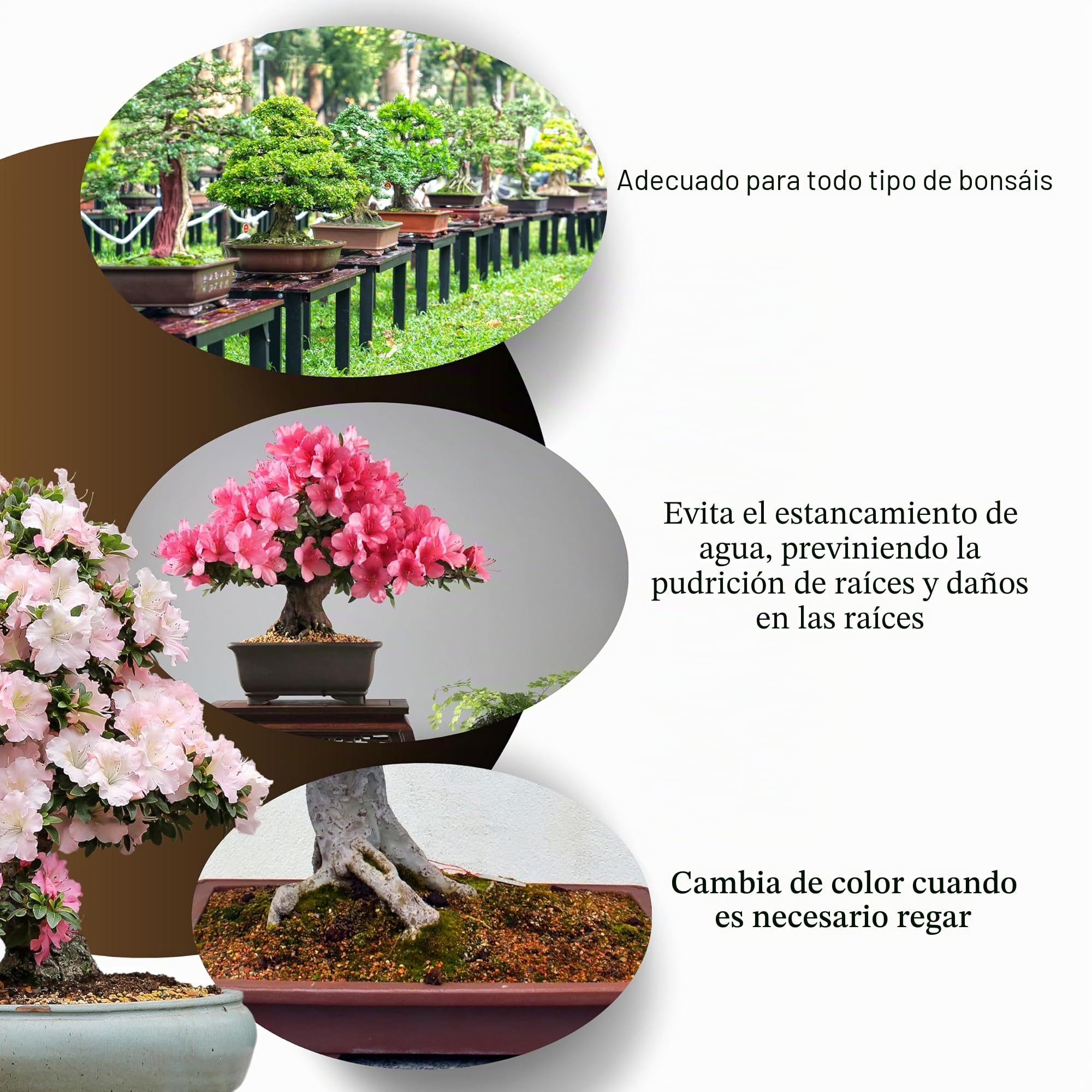 GebEarth - Akadama japonés profesional para bonsai 2-5 mm de 1 l. Equilibrio perfecto de agua, aire y minerales