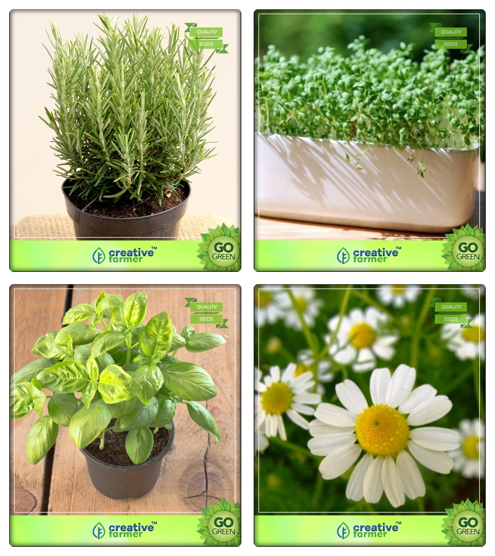 Creative Farmer Herb Seeds Combo Rosemary, Cress Common, Lemon Basil, German Chamomille Herb Seeds Combo Pack (B078V2ZW6S) Amazon Price History, Amazon Price Tracker