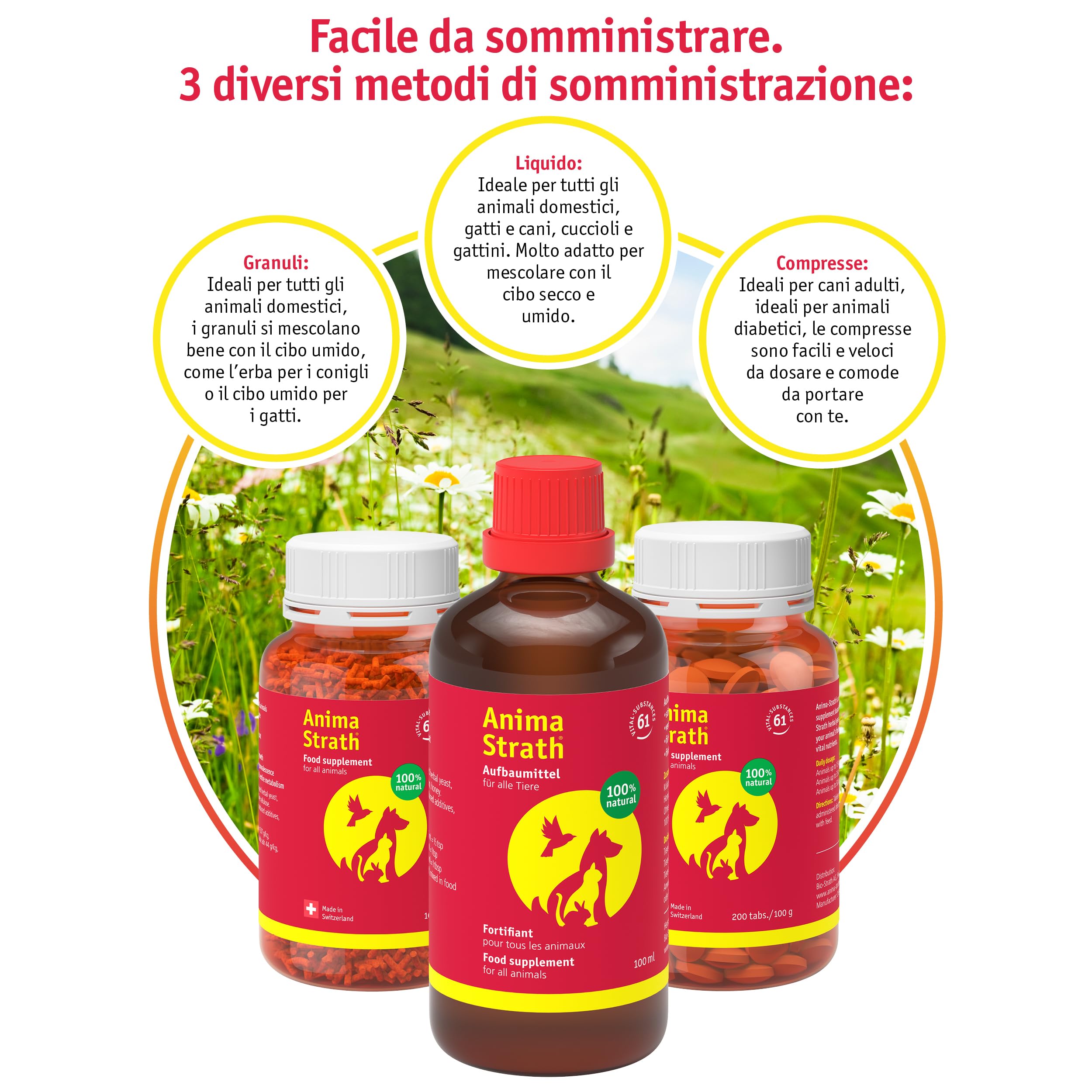 Anima Strath Granulato - 61 Micronutriementi, Integratore Alimentare di Lievito Vegetale Per Cani & Gatti - Vitamine per Alimenti per Cani - Vegetariano - 500g