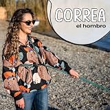 Ver la foto 6