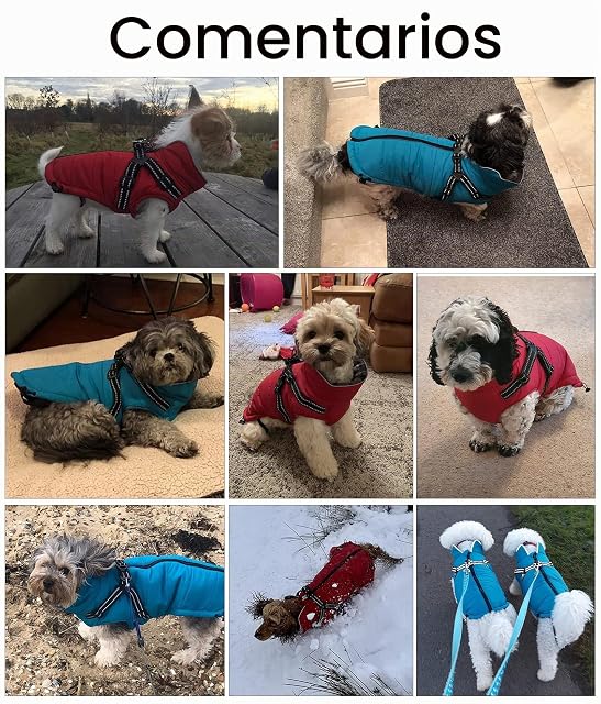Foto 5 de 6 de Pethiy Abrigo Invierno Perro con Arnes,Abrigo Impermeable para Perros