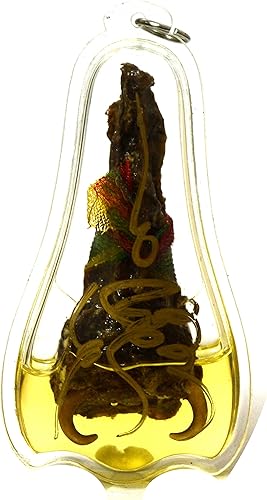 Miniatura 2 de Tailandés amuleto pitón espuela serpiente en aceite de hierbas, suerte magia talismán riqueza suerte juego Buda, Mezcla de materiales, Colgante