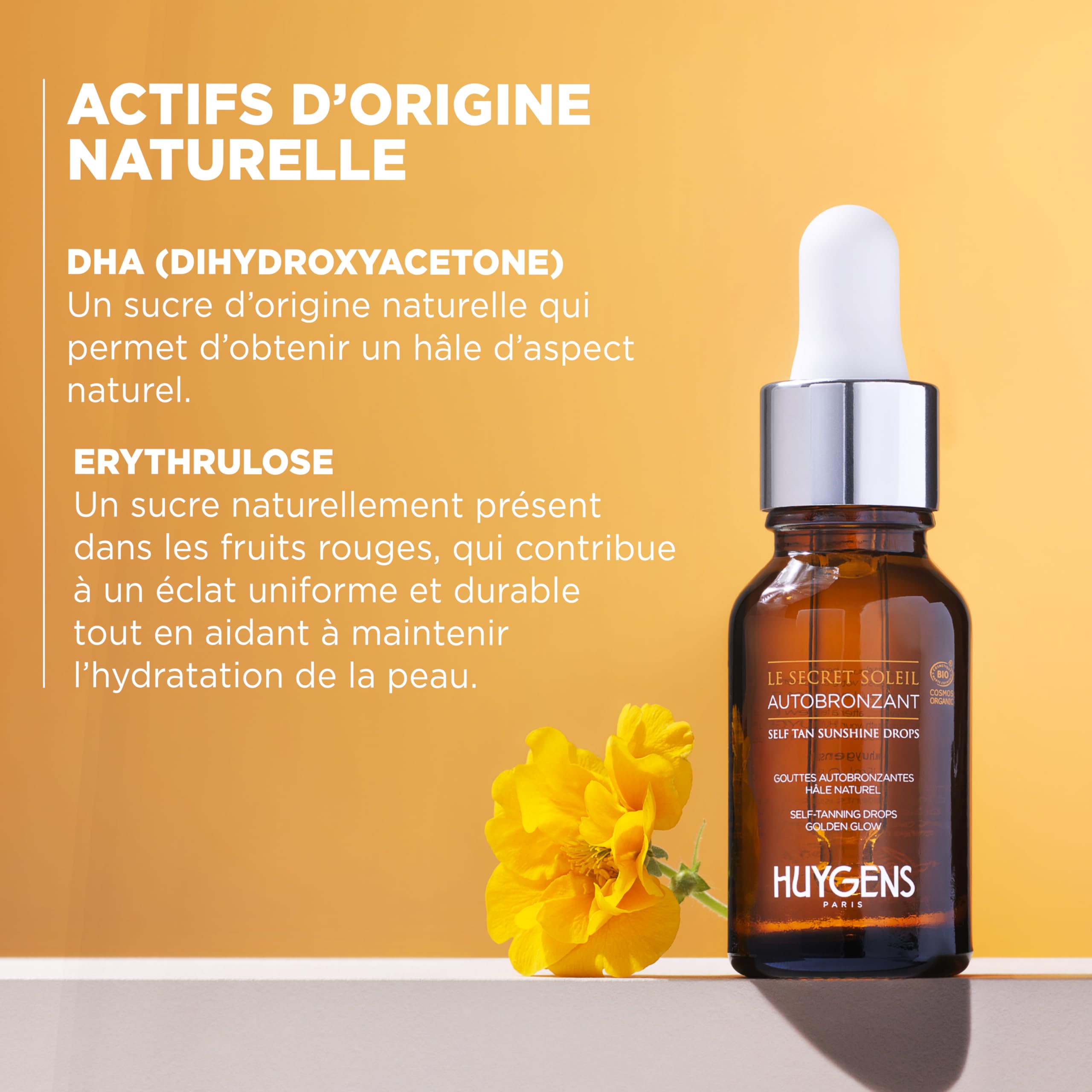 HUYGENS Face Self-Tan Sunshine Drops – Sérum autobronzant progressif – Certifié bio, vegan, fabriqué en France, 15 ml