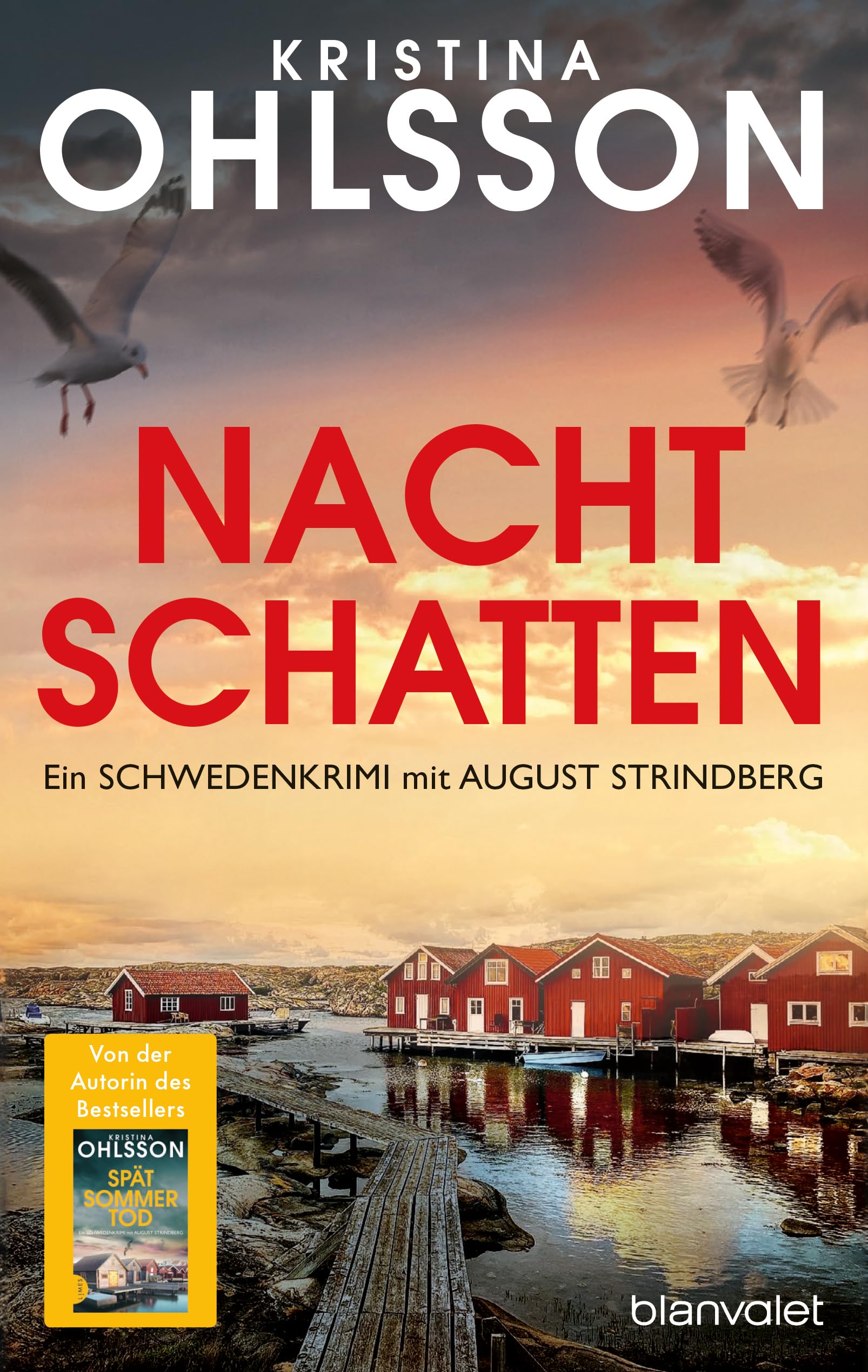 Nachtschatten: Ein Schweden-Krimi mit August Strindberg - Nr.-1-Bestseller aus Schweden (August Strindberg ermittelt, Band 5)