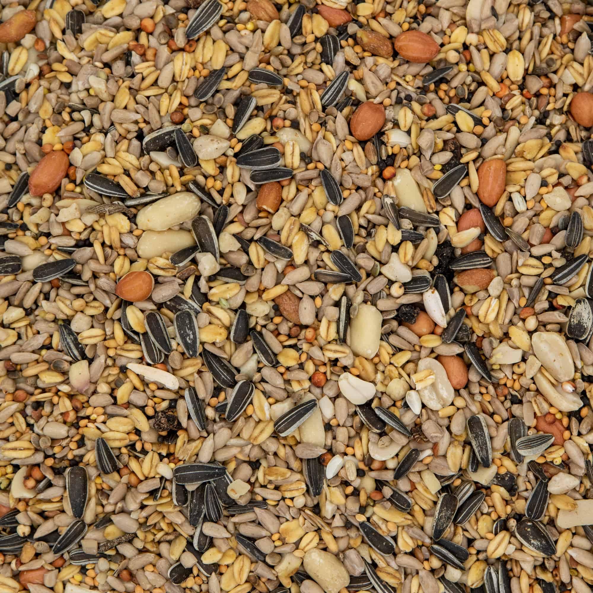 Paul's Mühle Wildvogelfutter, Ganzjahresfutter für Wildvögel, 4-Jahreszeiten, 25 kg