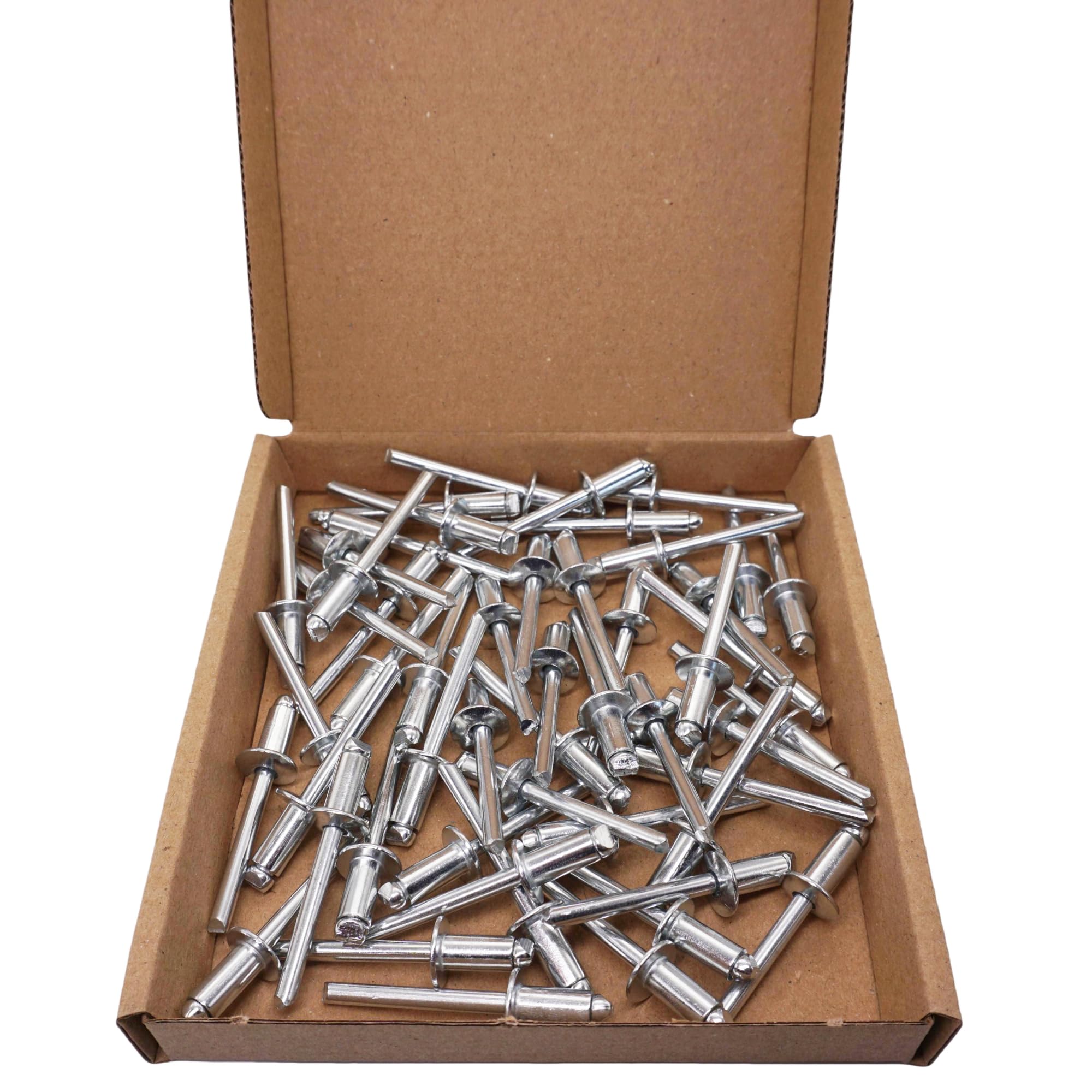 SKIR'CO (100 stuks) Aluminium blindklinknagels 6,0 x 10 mm, stalen doorn, popklinknagels, koepelkop, DIN 7337 klinknagels