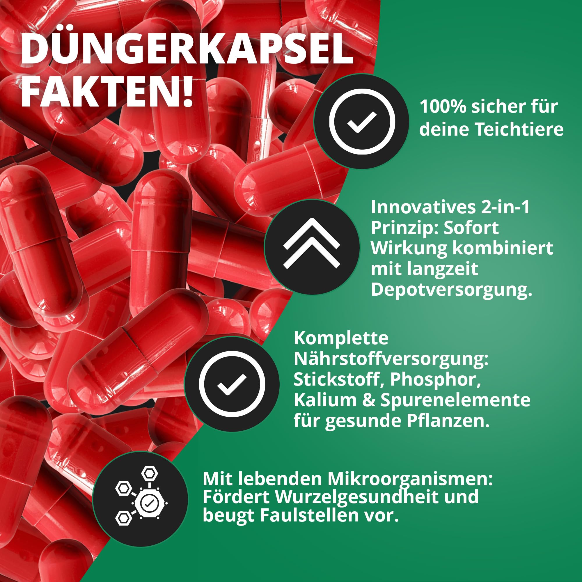 NatureHolic Seerosen Dünger 3er Set - 3X 25 Langzeitdünger Kapseln mit 2-in-1 Wirkprinzip - Teichdünger für Seerosen & Zwergseerosen im Gartenteich & Miniteich - mit NPK und Spurennährstoffen