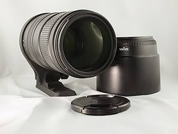 Amazon.co.jp: SIGMA 望遠ズームレンズ APO 120-400mm F4.5-5.6