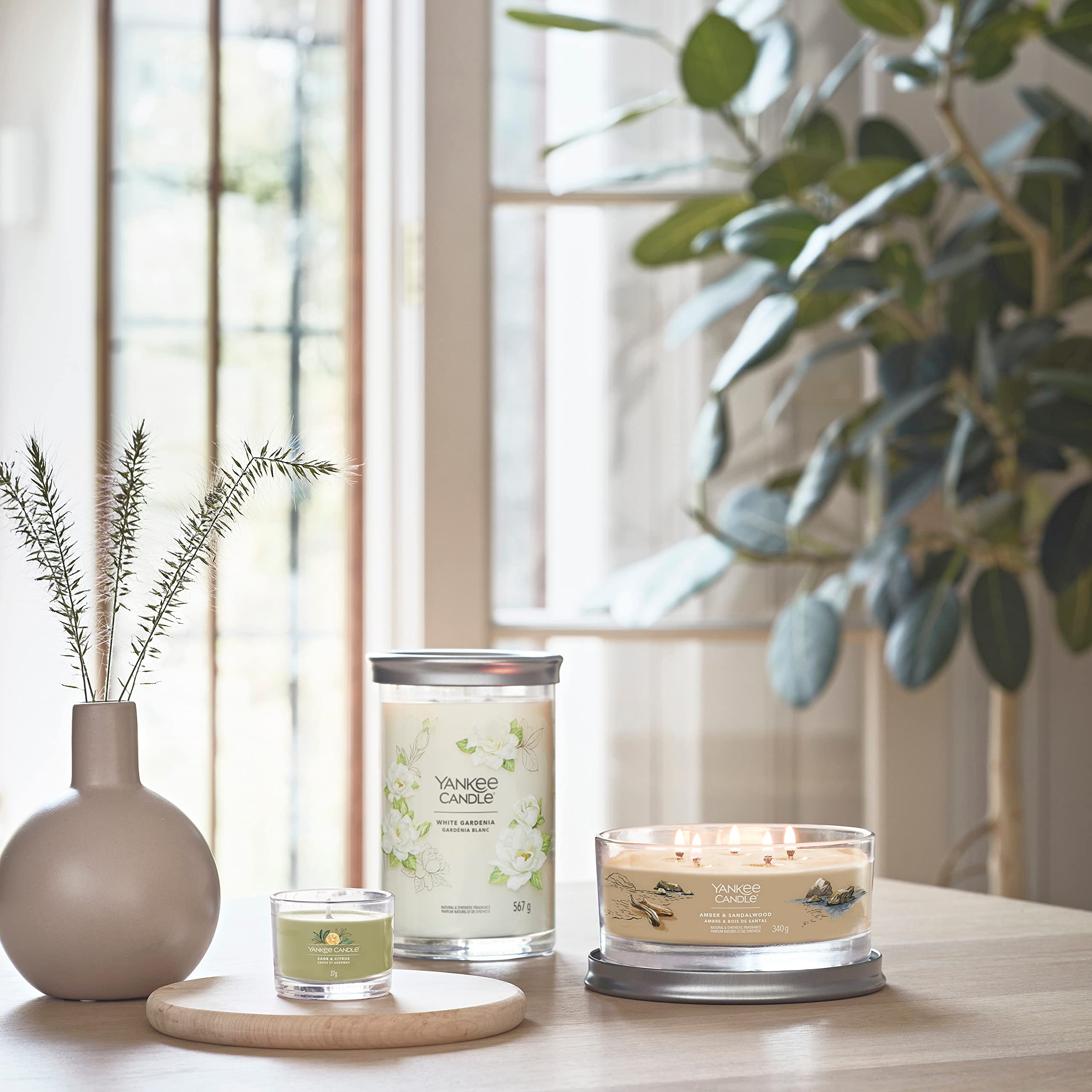 Yankee Candle Vela aromática Signature | Vela en vaso de ámbar y sándalo | Mezcla de cera de soja larga duración | Regalo perfecto para mujeres