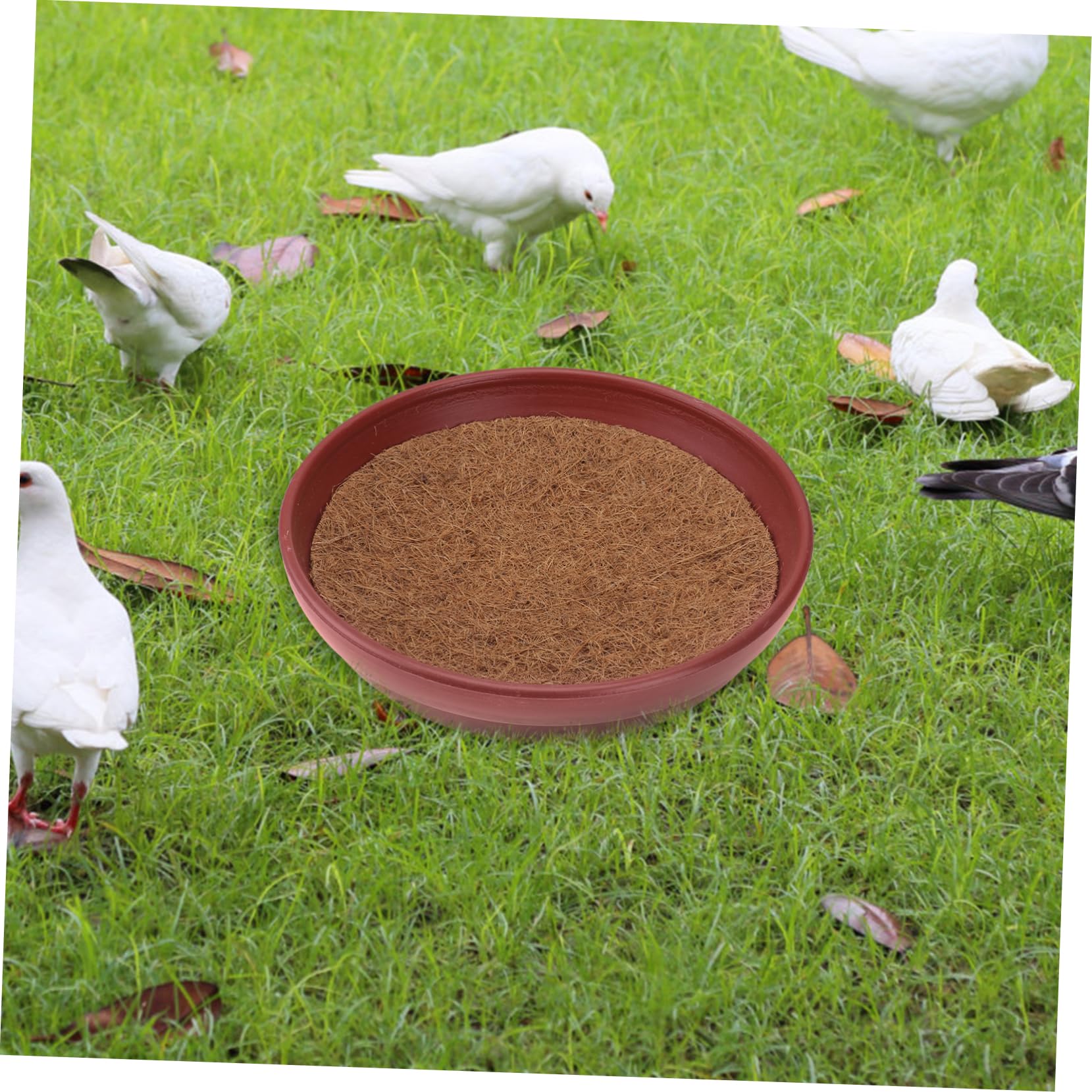 Nid de Pigeon en Plastique, Lot de 3 Sets de Sets de Sets pour Oiseaux