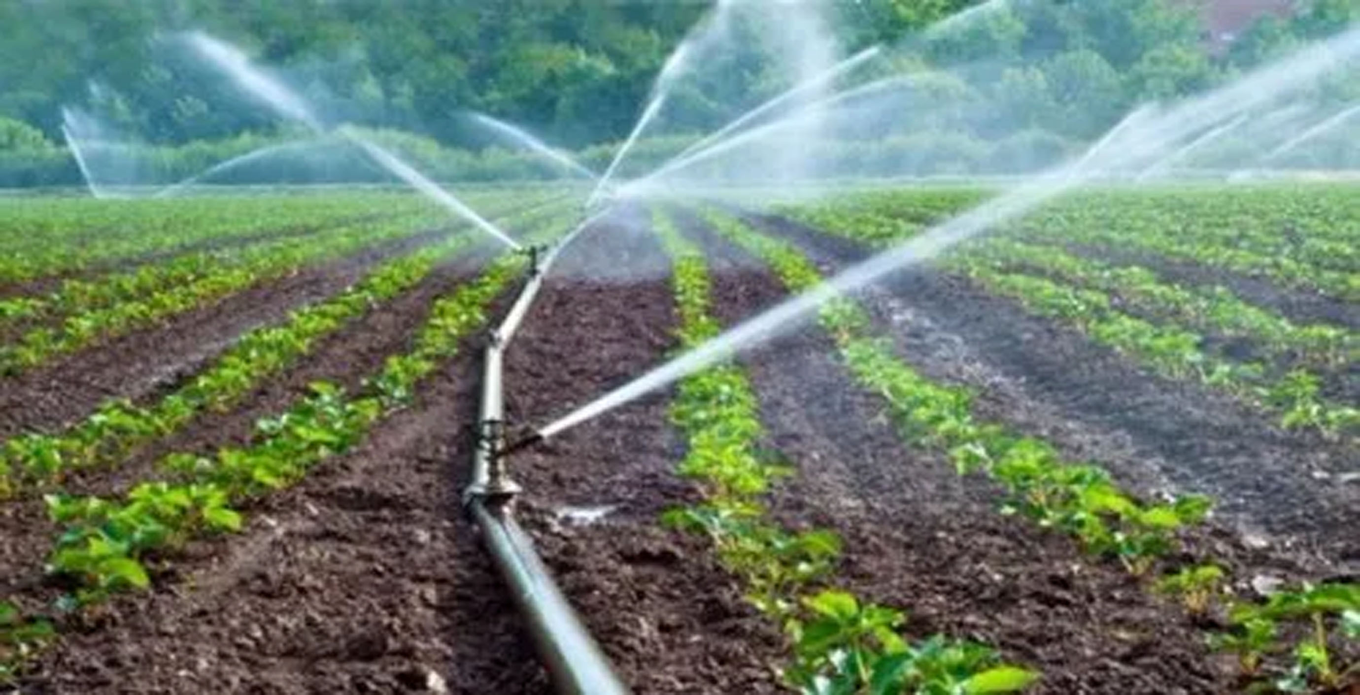 Drip Irrigation Systems