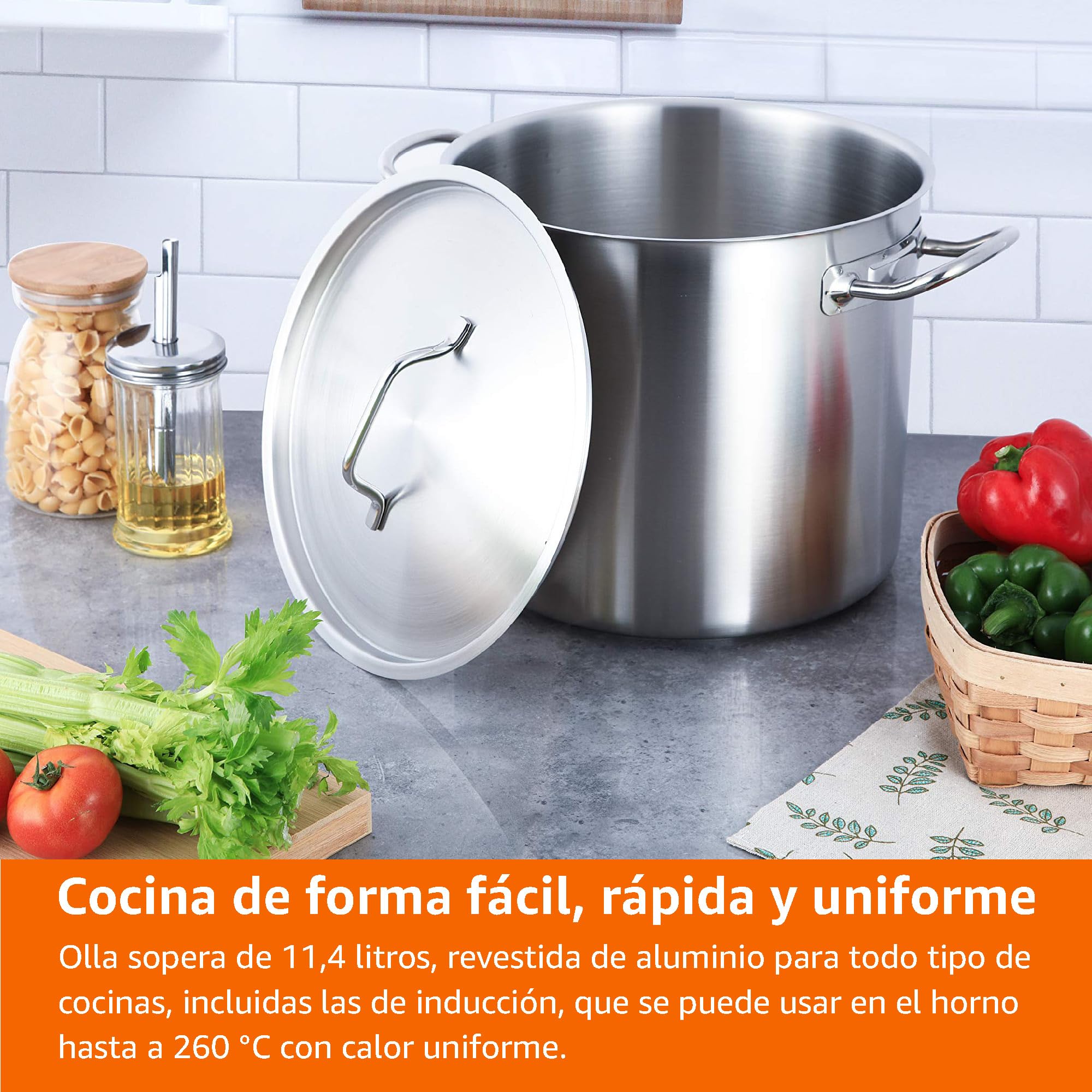 Amazon Basics Olla de acero inoxidable con revestimiento de aluminio y tapa, 11.4 litros, Plata