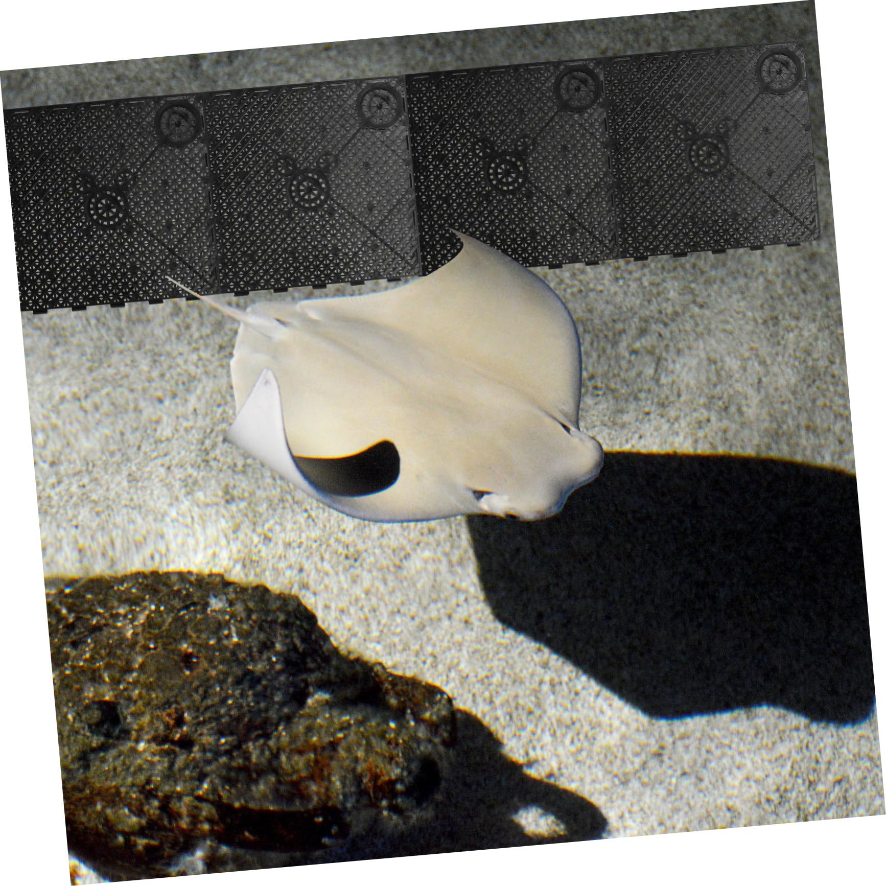Alipis 20 Stück PVC Bodenfilterplatten Schwarz mit Verbindungs und Klappenbodenfilter Kombination für Meerwasserfische und Große Drachenfische zur Aquarienzucht