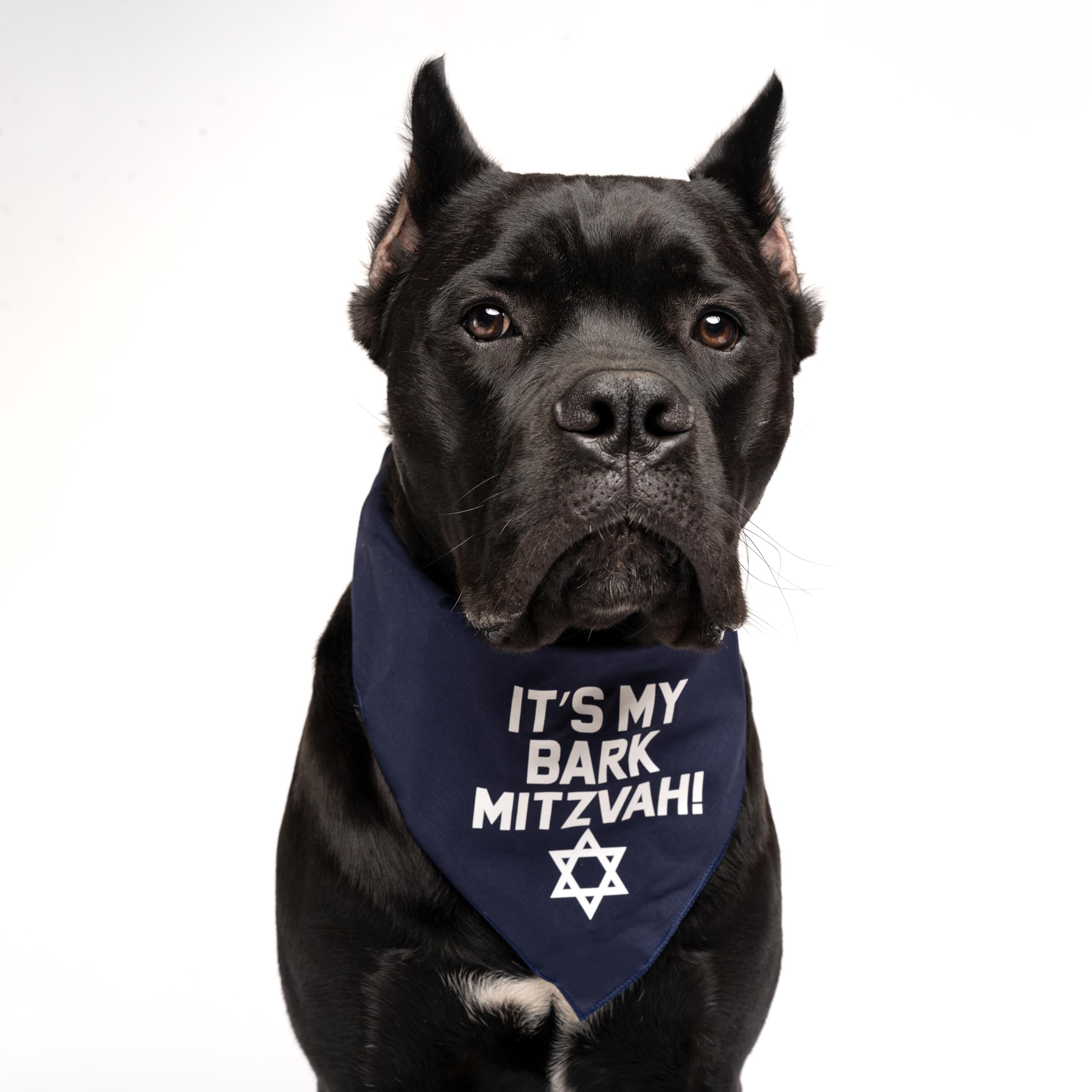 It's My Bark Mitzvah! Jewish Star Triangle Dog Bandana (Pink OS 162)