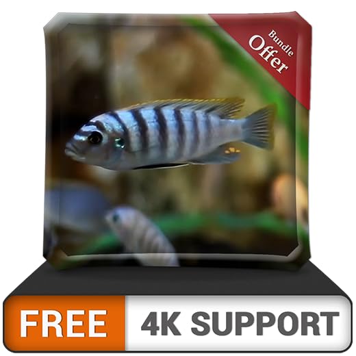 FREE White Fish Aquarium HD - Decorate your room with beautiful Aquarium on your HDR 4K TV, 8K TV and Fire Devices as a wallpaper, Decoration for Christmas Holidays, Theme for Mediation & Peace