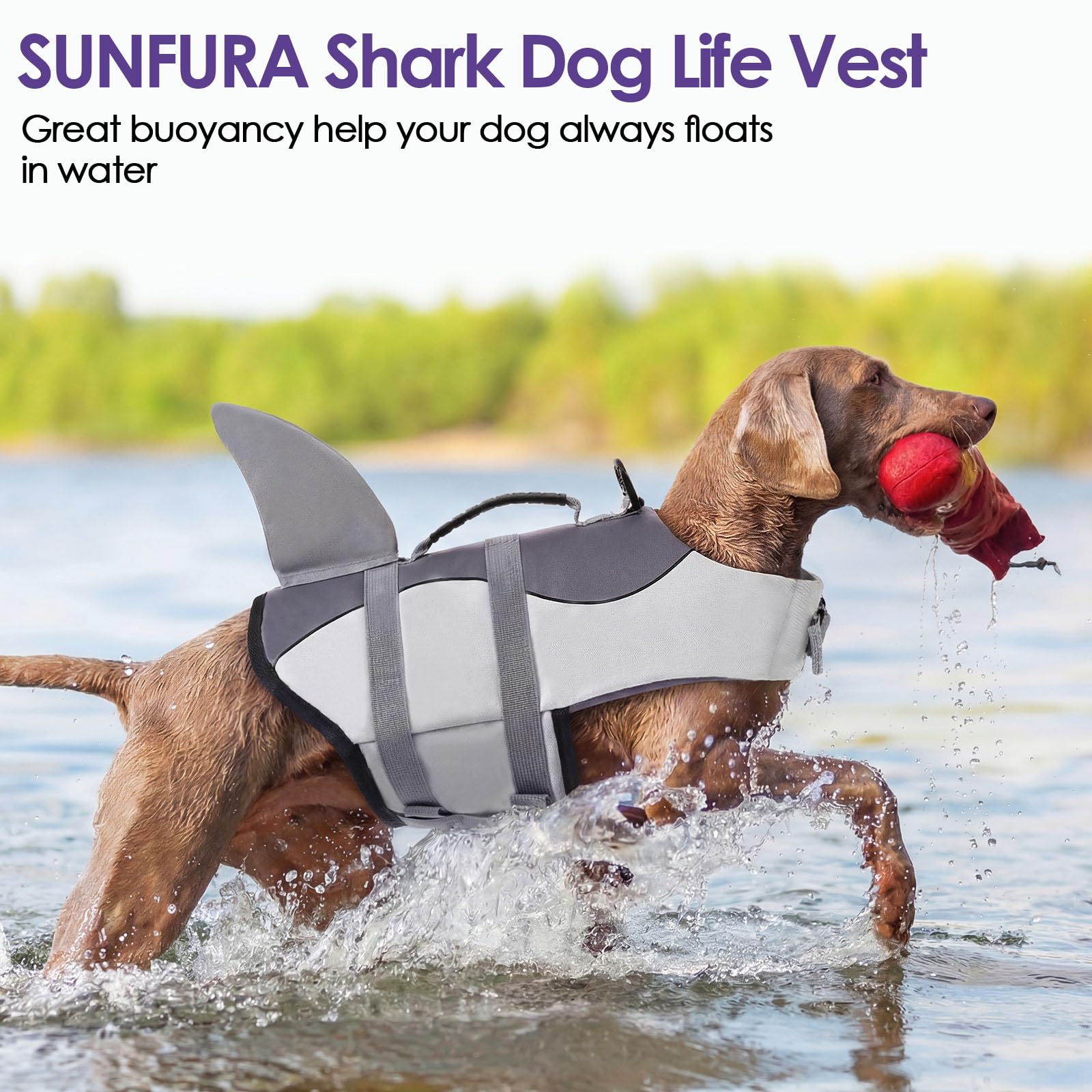 Gilet de Sauvetage pour Chien - Ripstop - Gilet de Sauvetage pour Chiens de Petite, Moyenne et Grande Taille - Sauveteur de Vie - Maillot de Bain pour la sécurité dans la Piscine, la Plage, Le Bateau