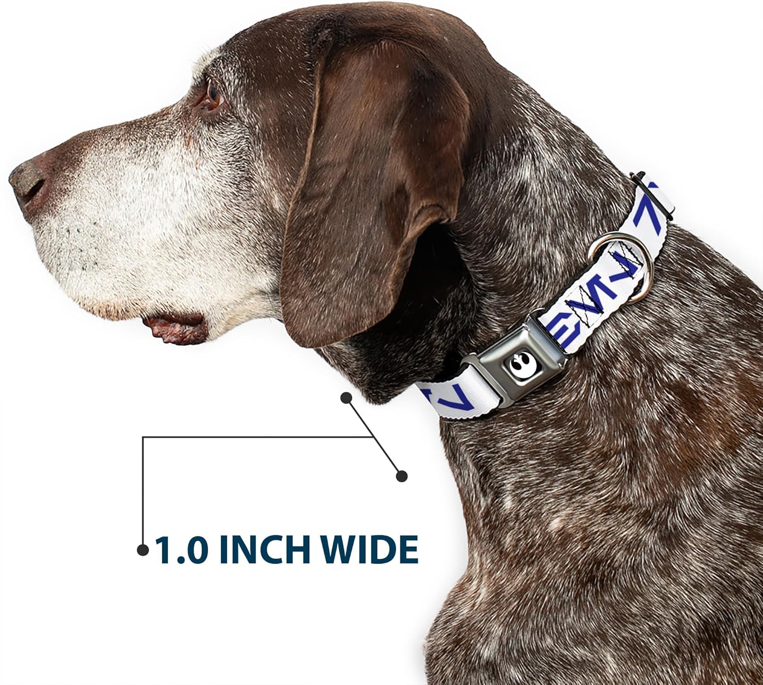 Star Wars Pet Collar, Dog Collar Metal Seatbelt Buckle, Star Wars Aurebesh Rebel White Blue, 16 to 23 Inches 1.5 Inch Wide