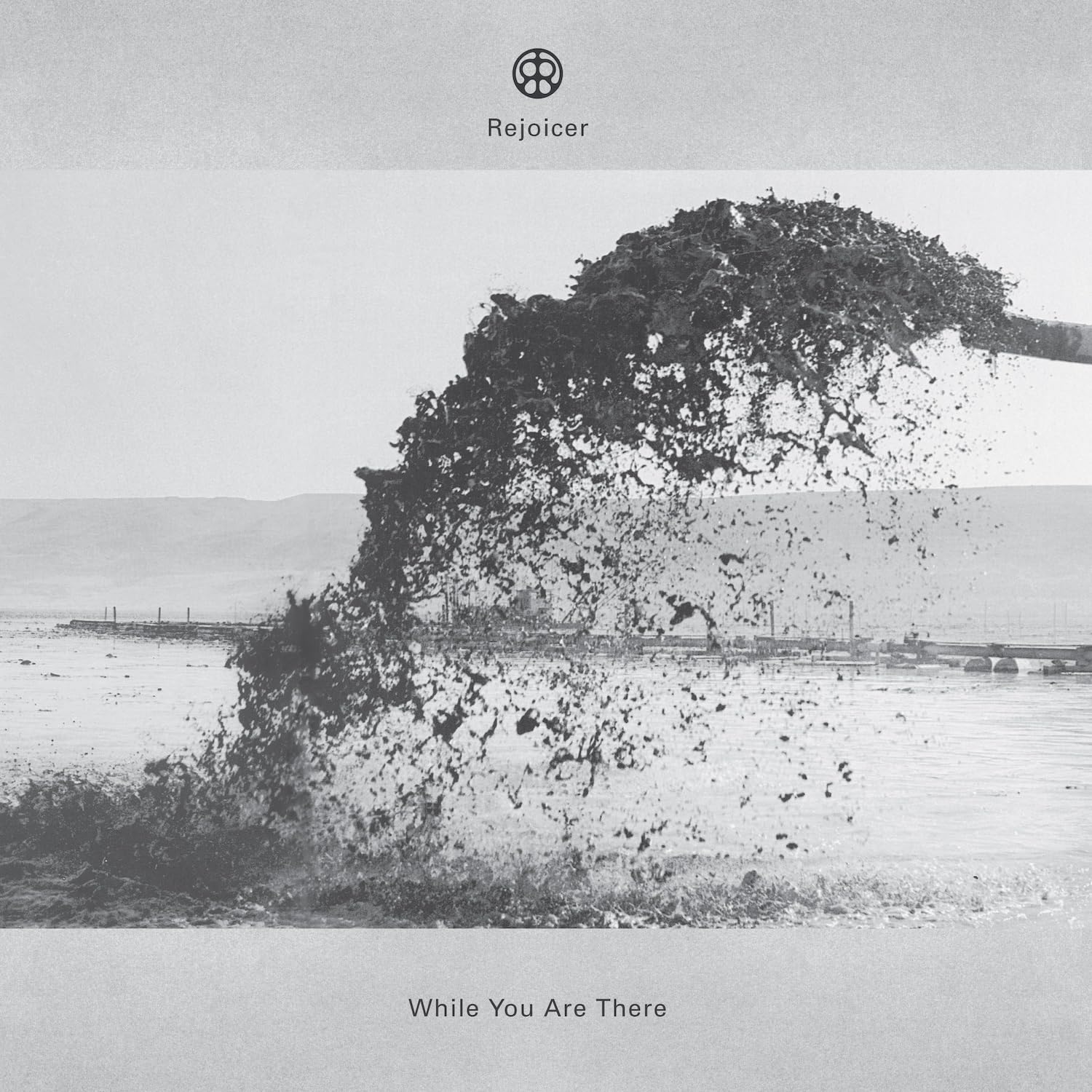 While You Are There [VINYL]