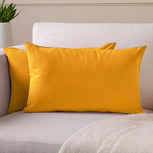 Vista 252 de Encasa Homes - Juego de 2 fundas de almohada, 18 x 18 pulgadas, lona de algodón teñidas, cuadradas, decorativas, para sofá, silla, cama y hogar, Azul