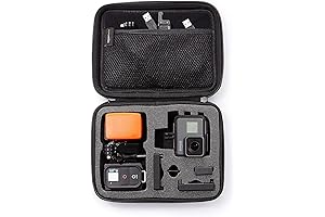Amazon Basics Small Carrying Case for GoPro and Accessories