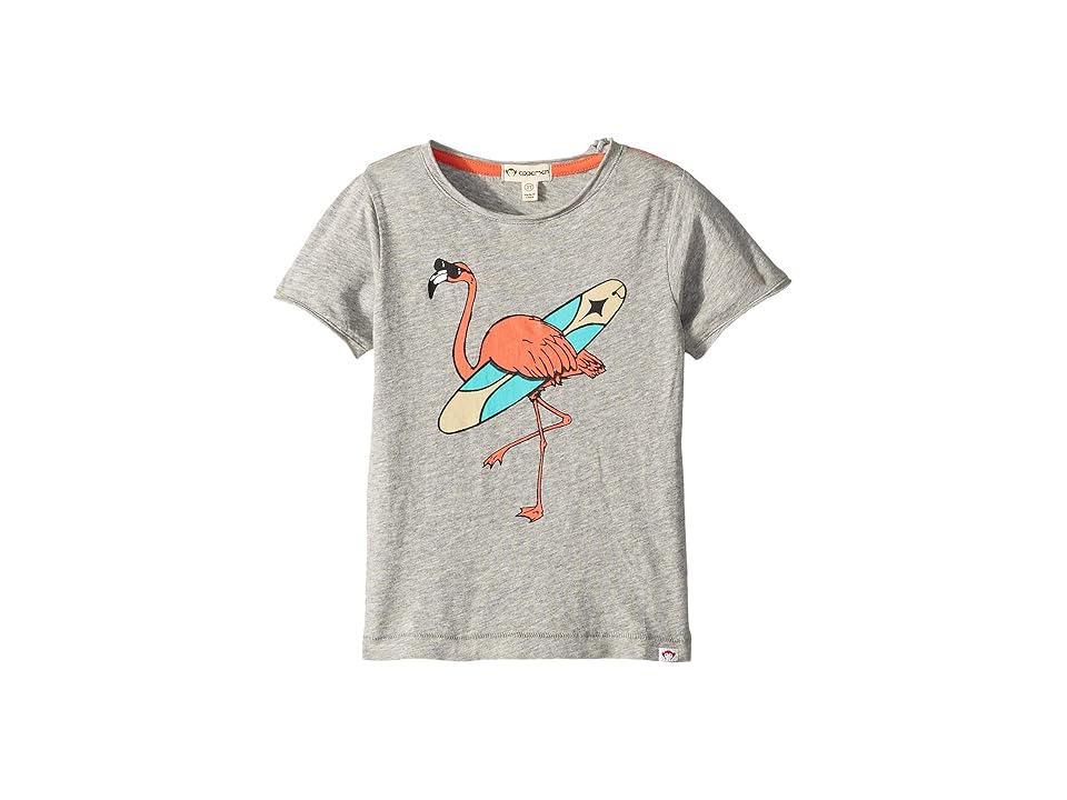 

Appaman Kids Graphic Short Sleeve Tee (Toddler/Little Kids/Big Kids) (Heather Mist) Boy's T Shirt, Gray