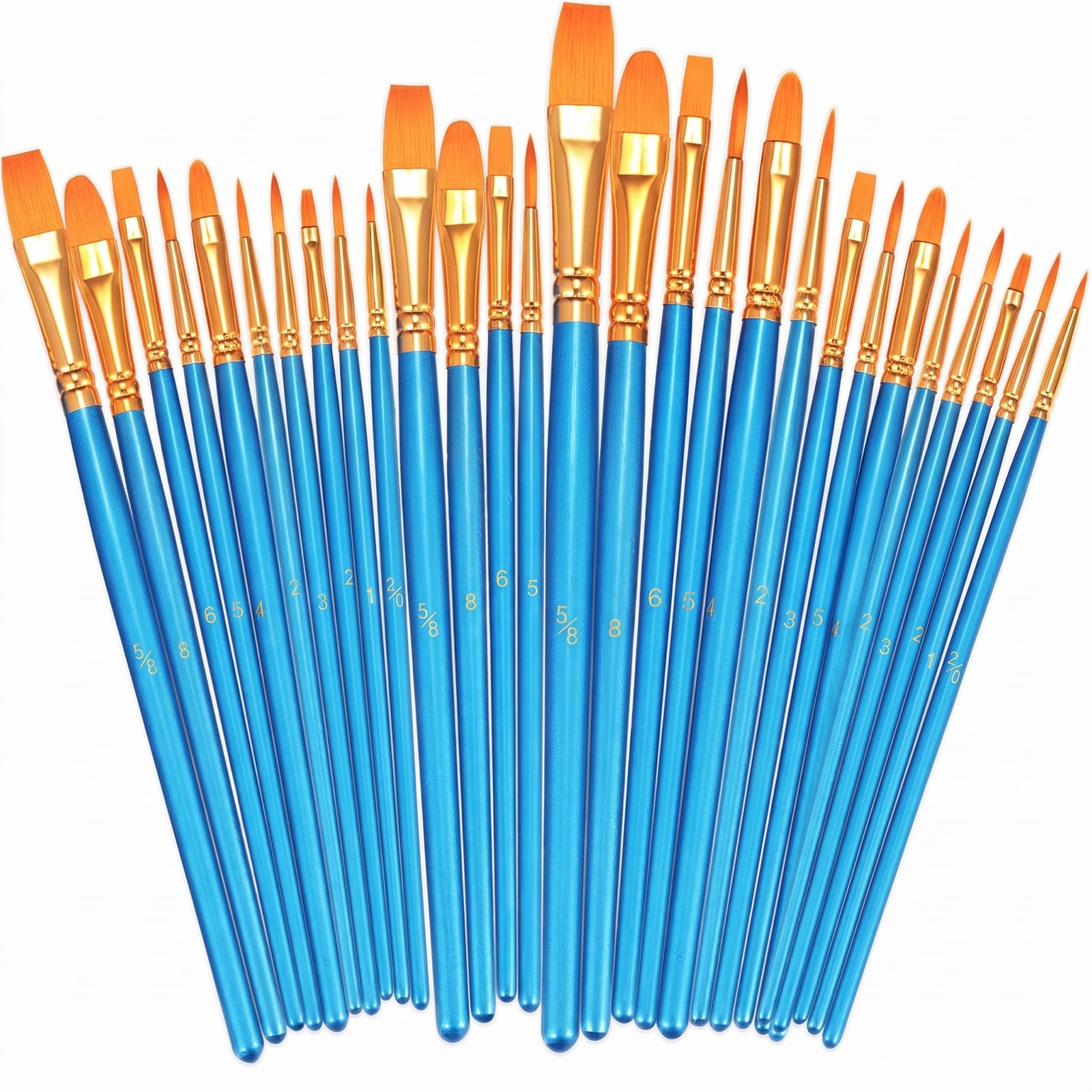 BOSOBO Assorted Nylon Acrylic Artist Paint Brushes Set,Blue,30 Pcs
