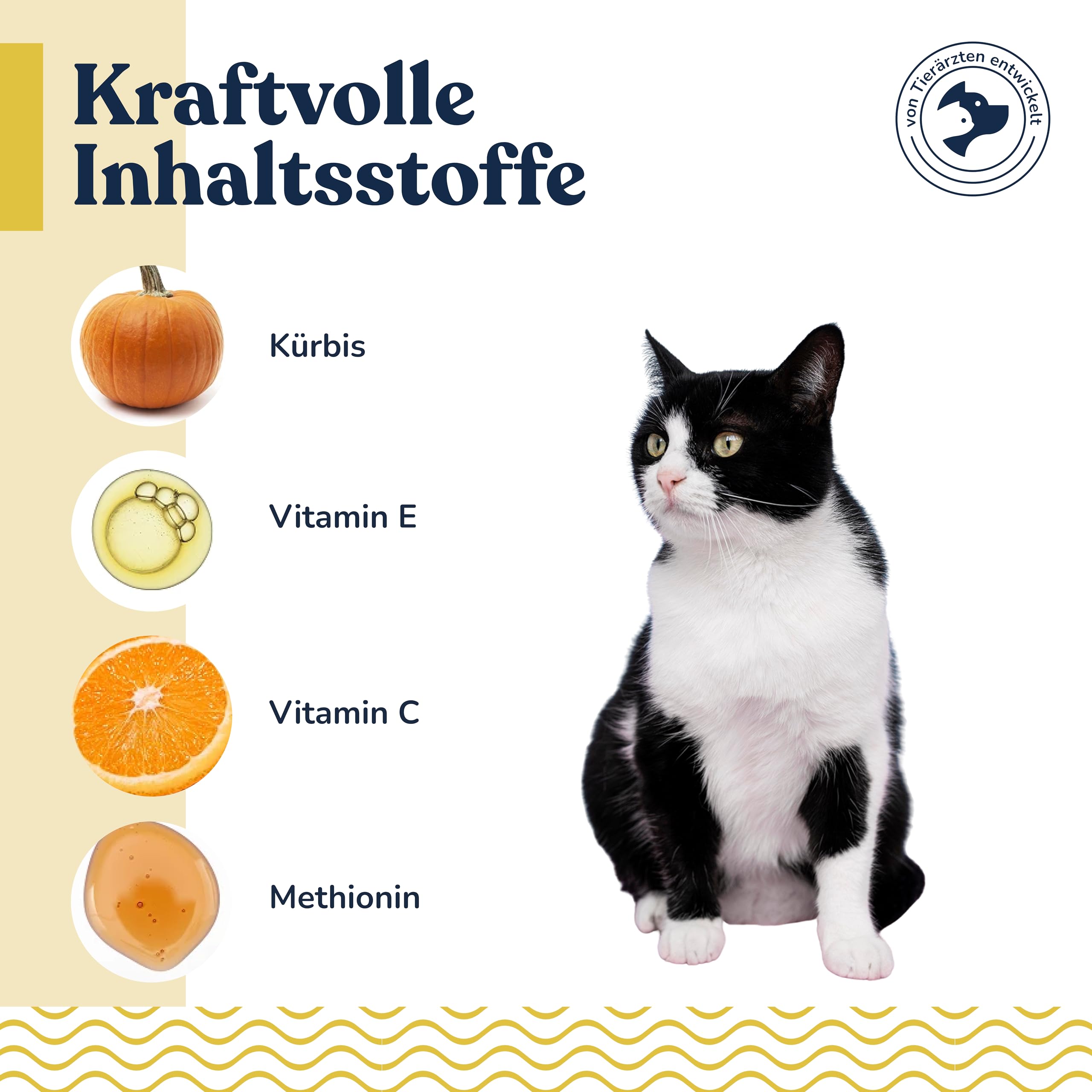 Felmo Pasta per vesciche e renali per gatti (100 g), supporto naturale per le vie urinarie grazie alla pasta funzionale per snack per gatti, per rafforzare il sistema immunitario e urinario. Adatto