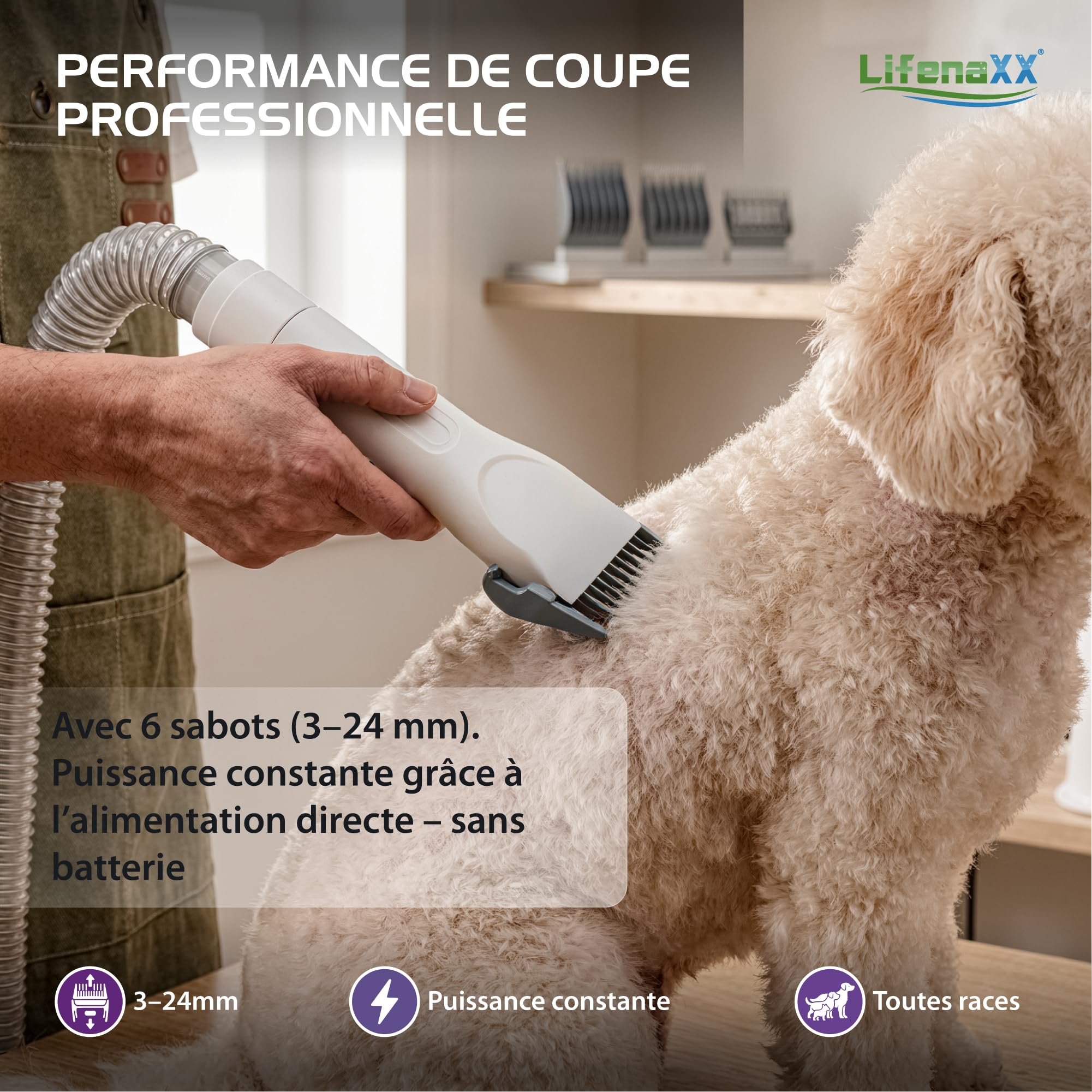 Lifenaxx Tondeuse Animale 6-en-1 avec Aspiration – Kit Toilettage pour Chiens & Chats, Silencieuse, Tondeuse avec 6 Sabots, Brosse Démêlante, Brosse de Massage, Collecteur à Poils 1,5L - LX-052