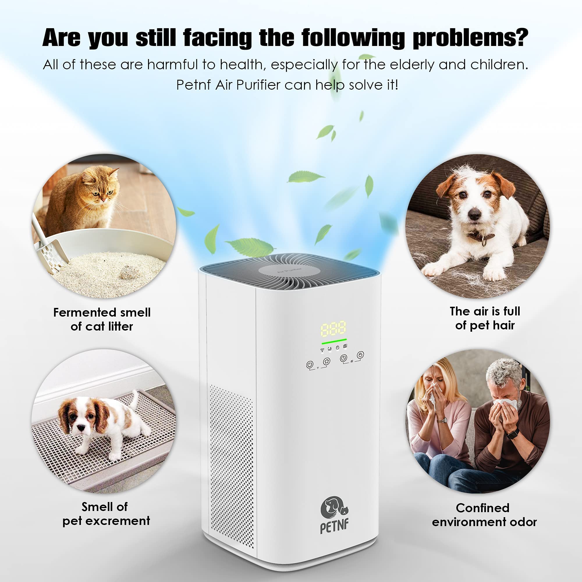 Will An Air Purifier Help With Dog Hair