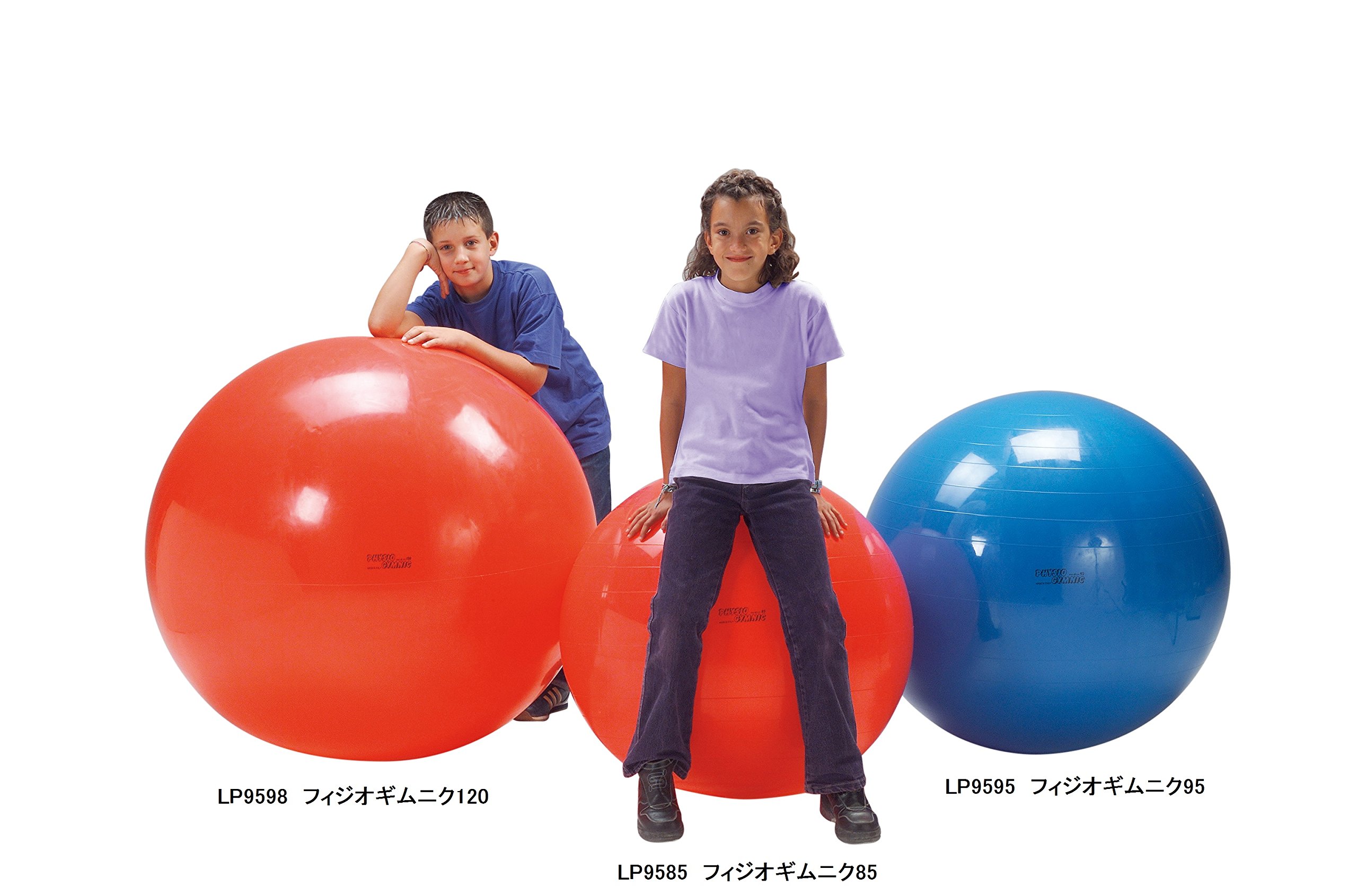 値下げ交渉OK】フィジオギムニク 120 バランスボール 赤 楽天