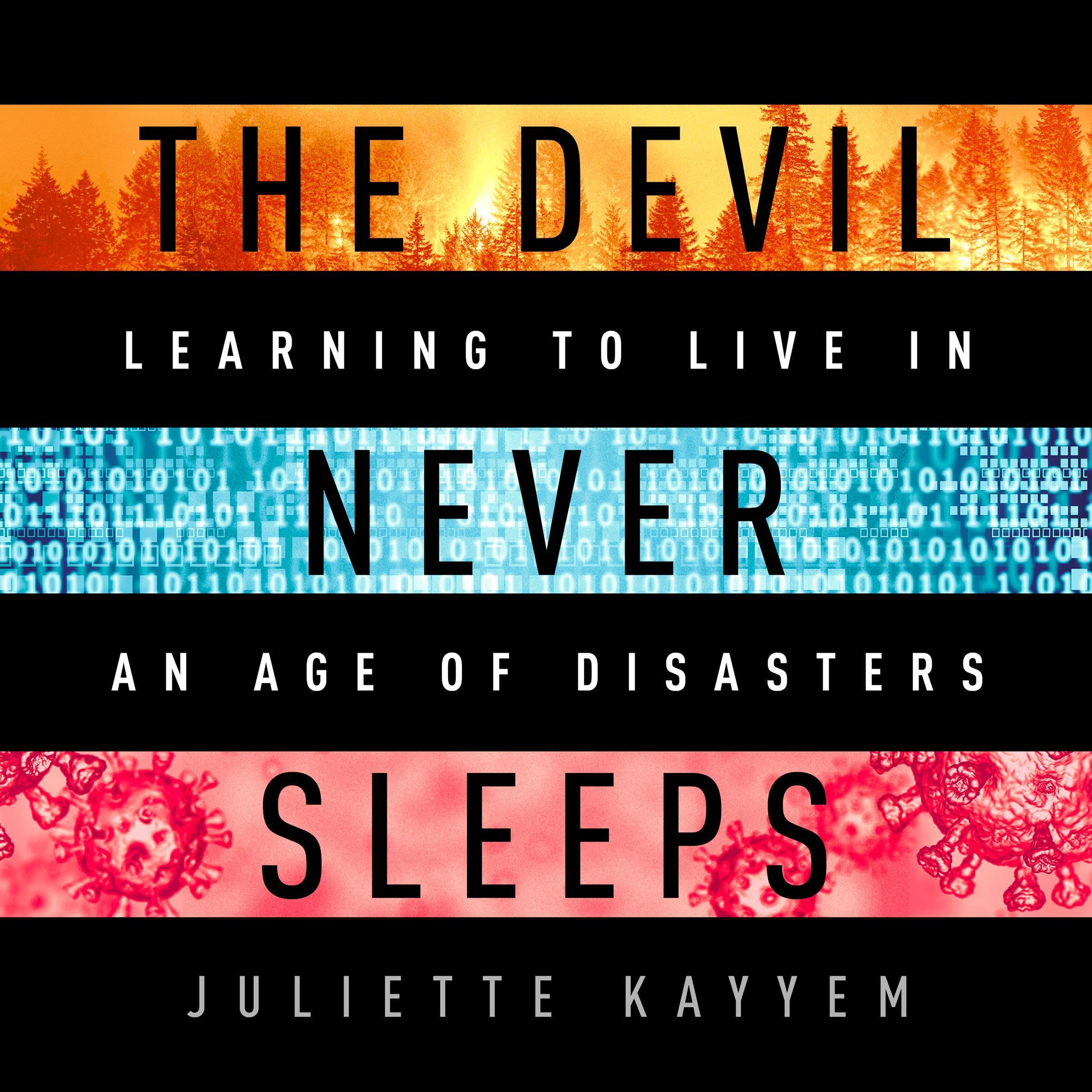 Cover art for The Devil Never Sleeps