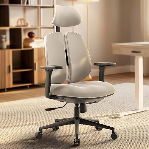 EUREKA ERGONOMIC Silla de oficina ergonómica con soporte para la espalda, sillas de escritorio de oficina en casa, respaldo doble, silla de oficina