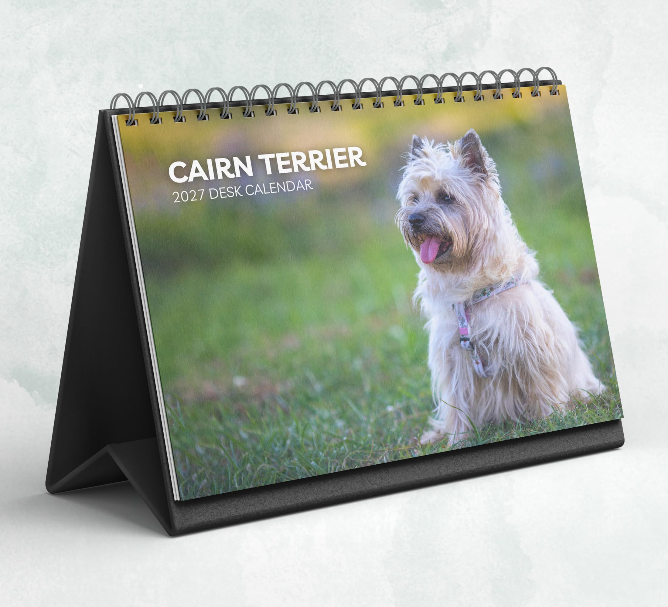 Cairn Terrier Desk Calendar 2027-2028: Standing Flip Desktop Calendar with Thick Paper (15.25cm x 22cm - similar to A5)