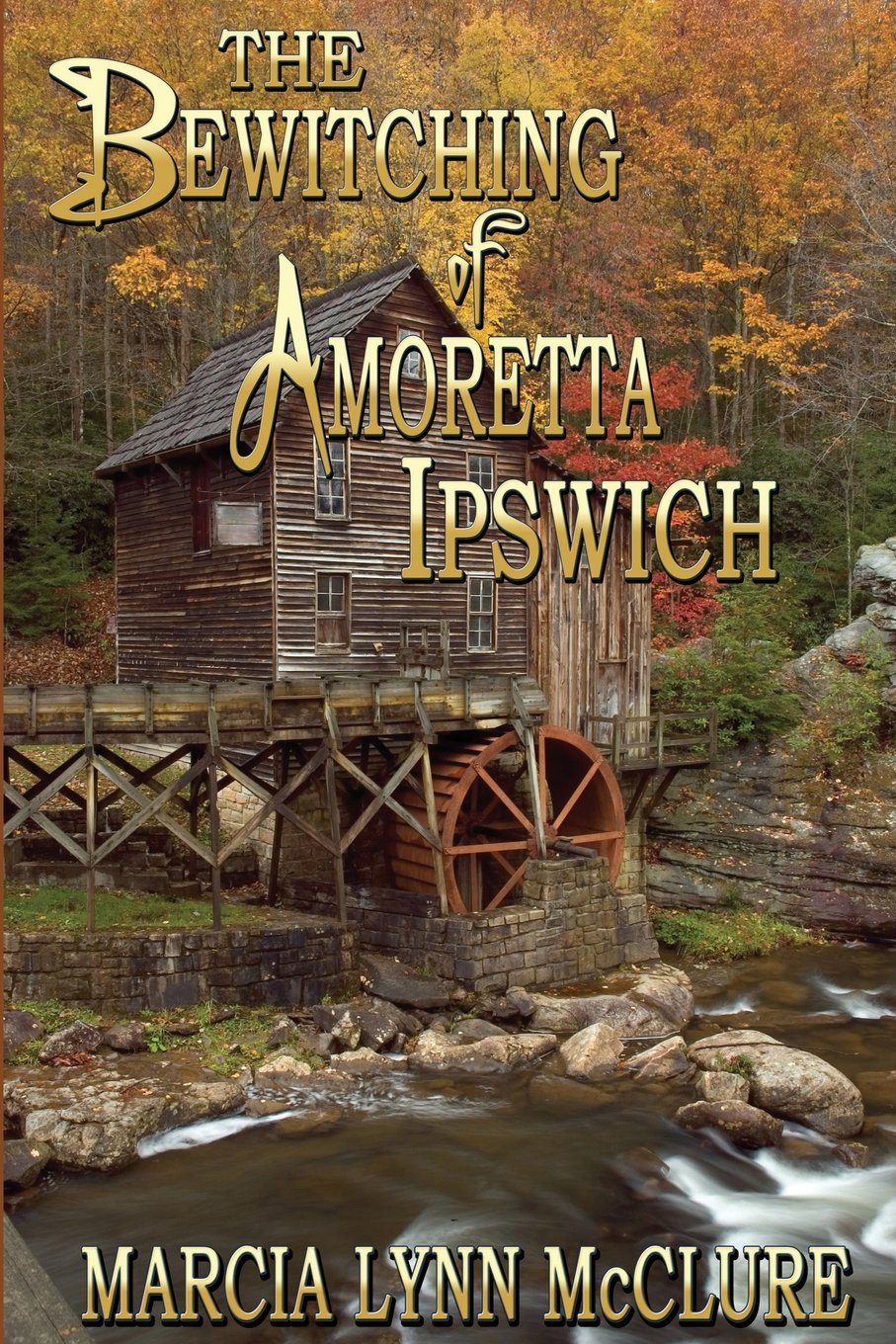 Buy The Bewitching of Amoretta Ipswich — BookShops.in
