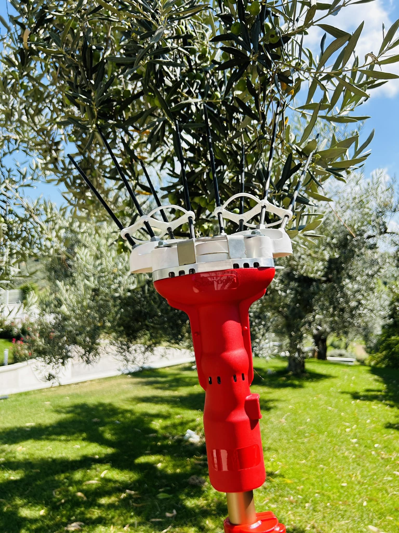 ABBACCHIATORE TELESCOPICO A BATTERIA CORDLESS 'SUPER 23' SBARAGLIA