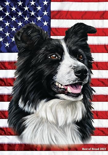 Miniatura 1 de Border Collie - Bandera de jardín Best of Breed All-American III