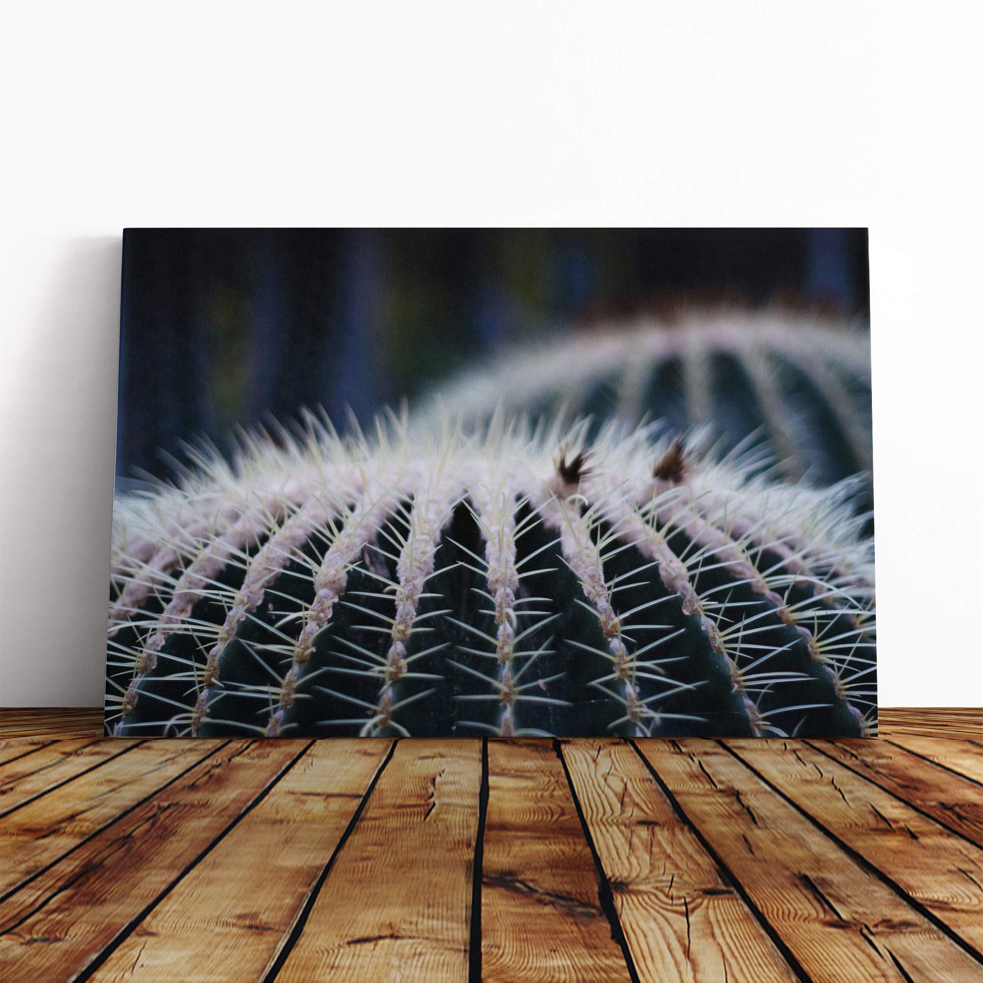 Flower Cacti Cactus (1) Canvas Print | Gallery Wrapped 30mm Frame Wall Art | 24x16 inches | Ready to Hang | Modern Floral Picture | Living Room Bedroom Lounge Office