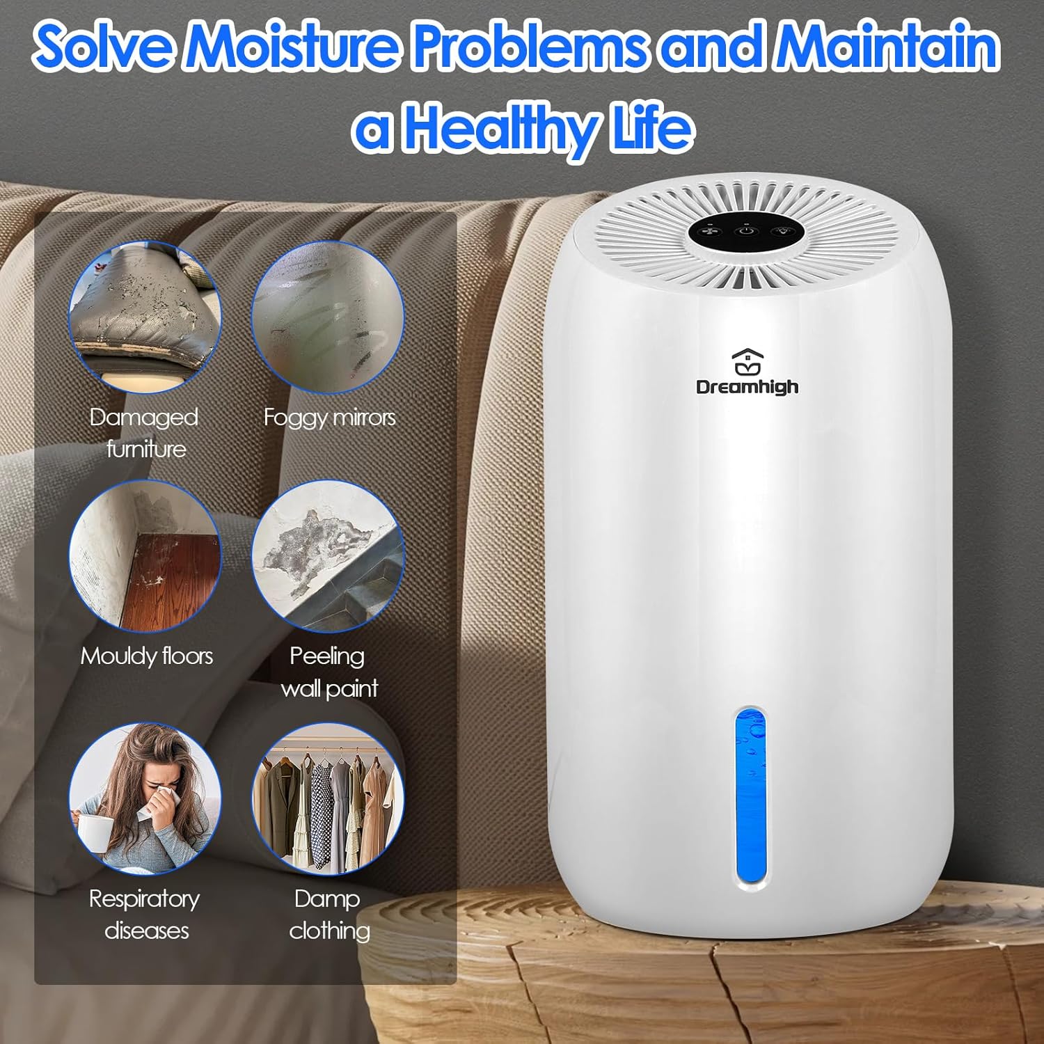 Foto del Deshumidificador