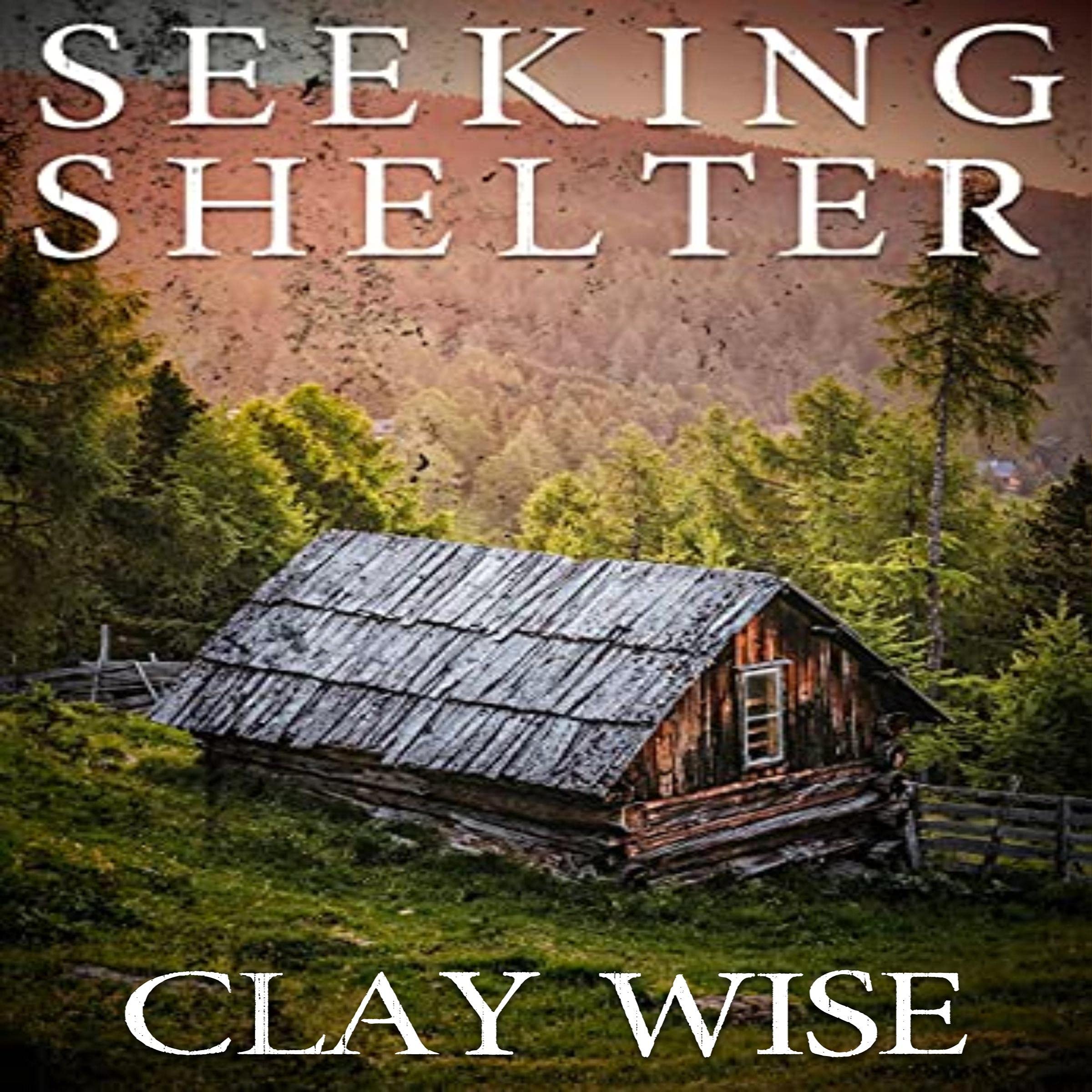 Cover art for Seeking Shelter