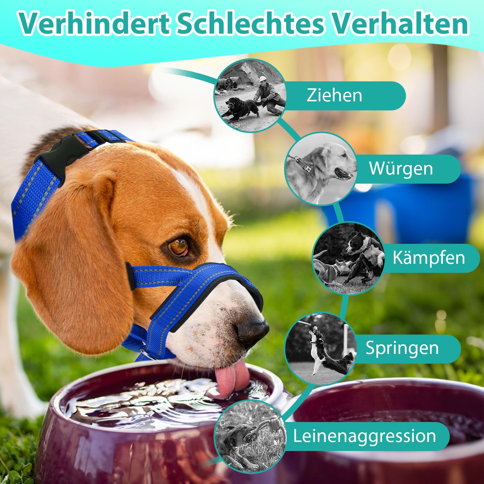 Halti pour chien grand, Harnais pour chien avec tissu rembourré, Harnais de tête Halti réglable anti-traction, Collier anti-traction doux pour chien grand (Bleu, L (Museau : 11,6-14,8 pouces))
