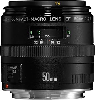 Amazon.com : Canon EF 50mm f/2.5 Compact Macro Lens for SLR DSLR