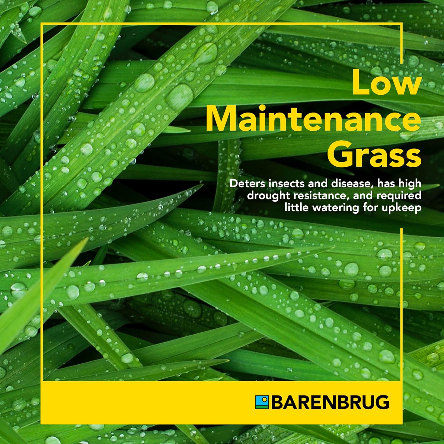 Barenbrug Wonderlawn Landscaper All-Purpose Grass Seed Mix, 15-Lbs., Covers 3,000 Sq. Ft.