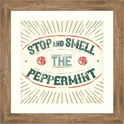 Amanti Art Framed Wall Art Print 24x24 Holiday Likeness IX (Peppermint) by Veronique Charron, Holidays Wall Art, Vintage Decor, Medium Poster