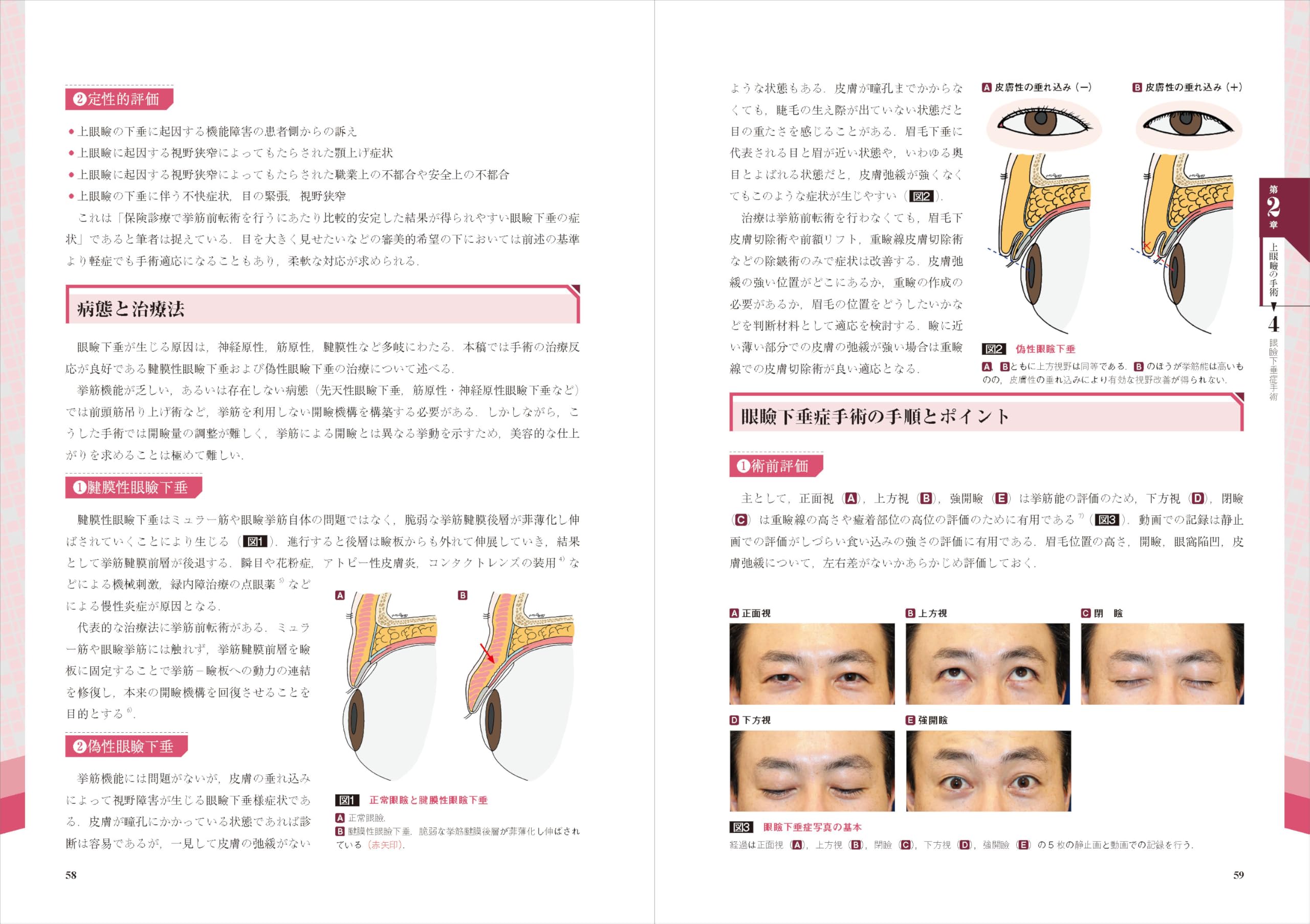 【ほぼ新品】美容手術の基本 ほぼ新品】美容手術の基本 美容外科医になったら最初に読む 美容手術の